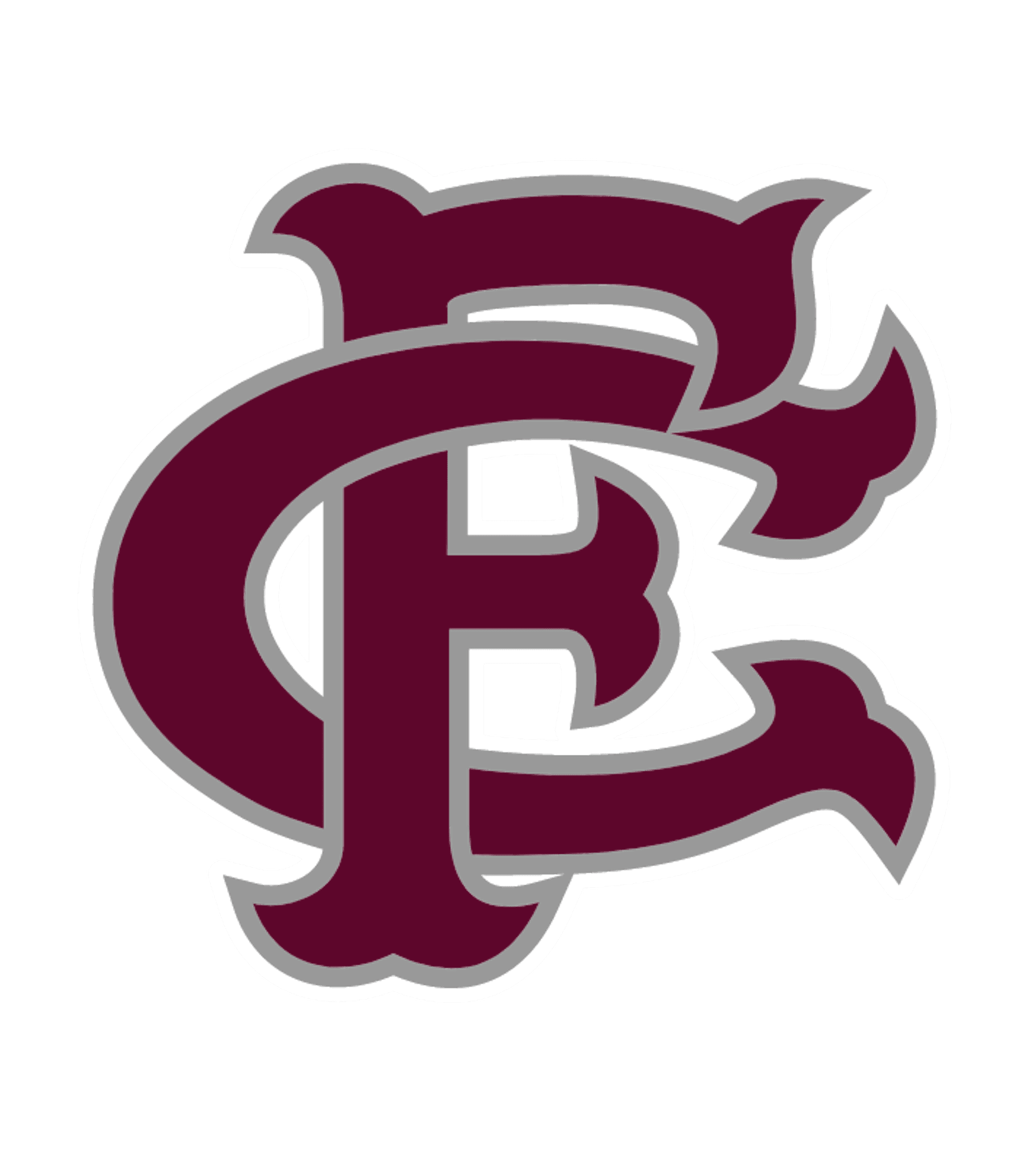 FORREST COUNTY AGRICULTURAL HI SCH Logo