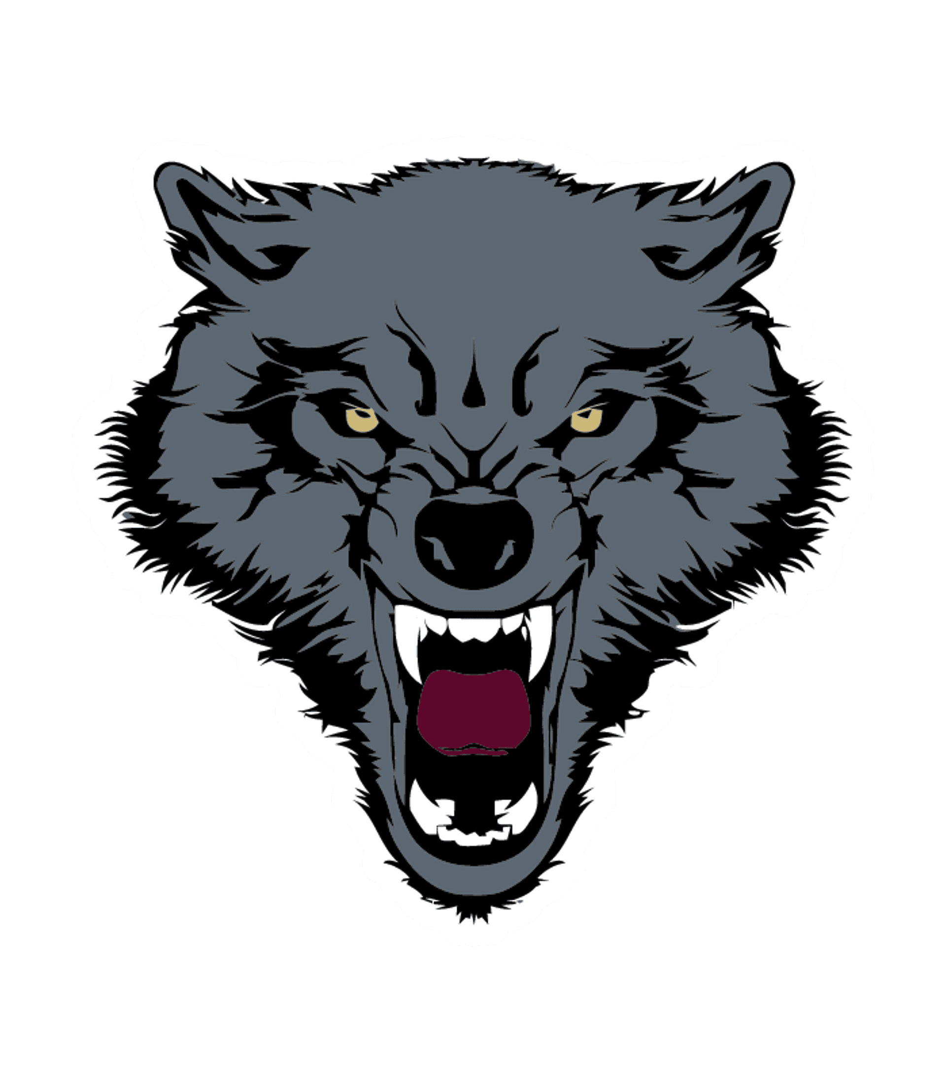DILLEY H S Logo