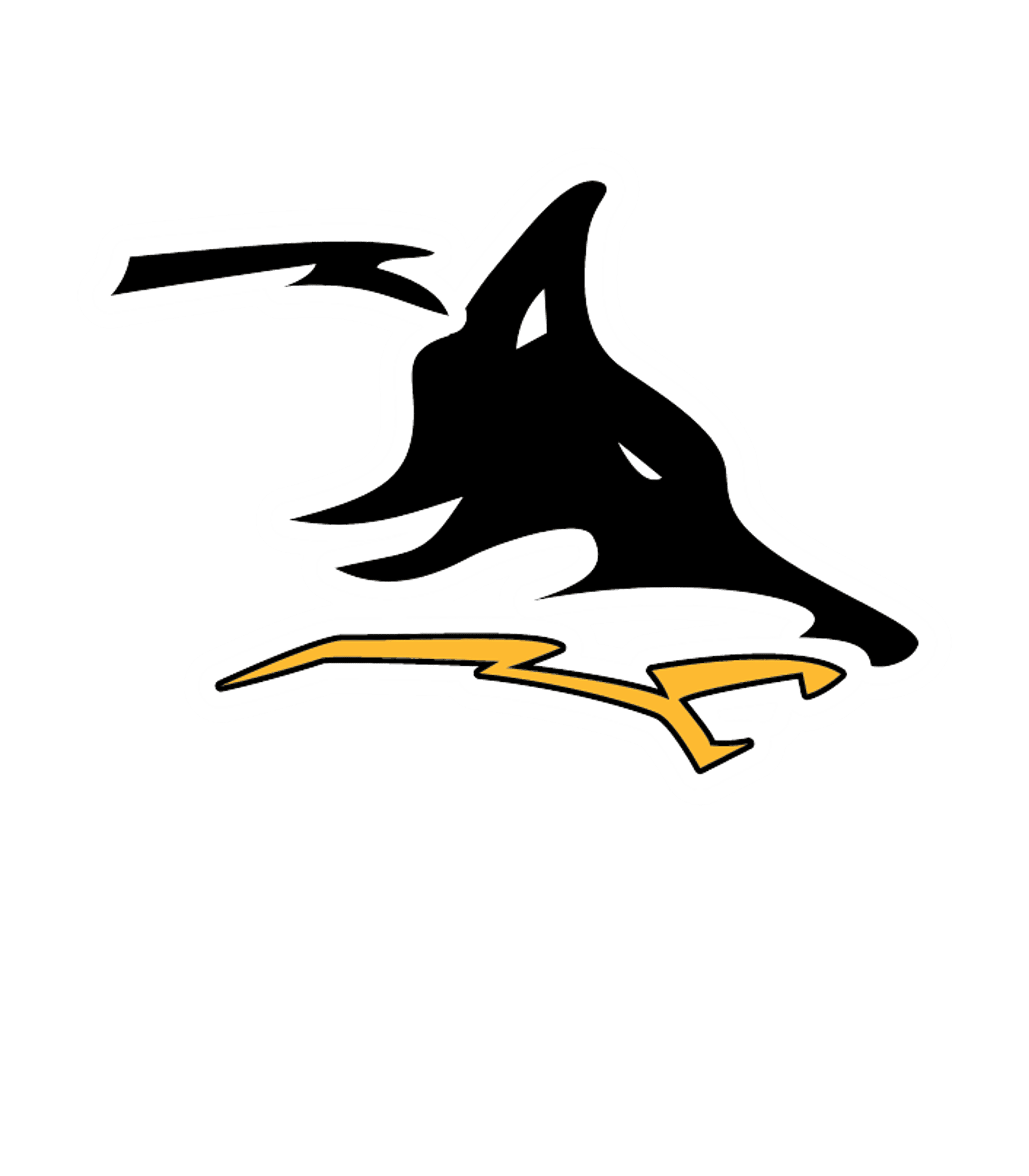 CISCO H S Logo