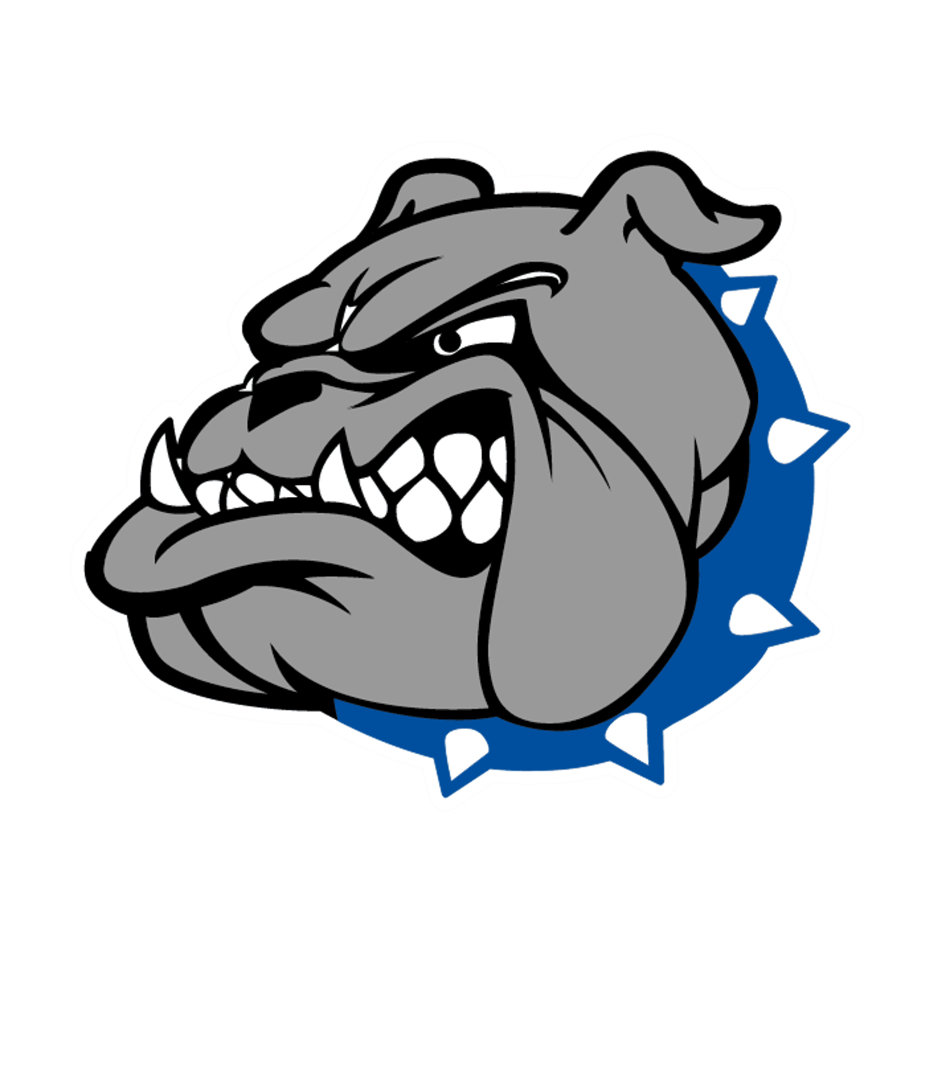 DESOTO COUNTY HIGH SCHOOL Logo