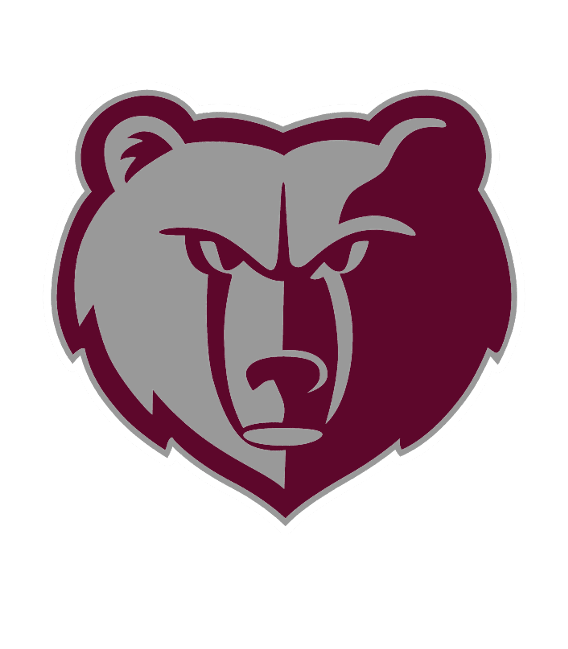 Broadneck High Logo