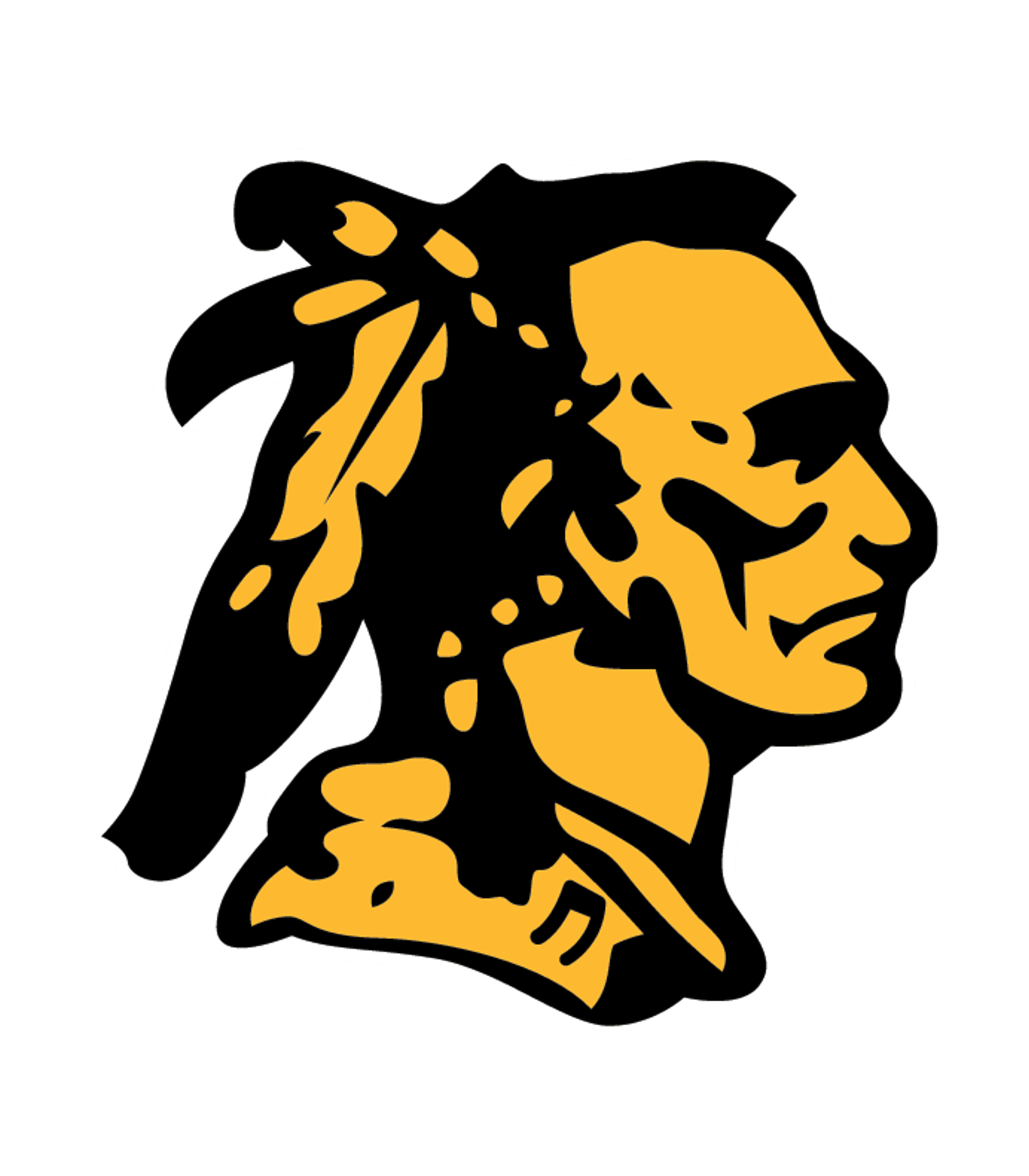 DIBERVILLE SENIOR HIGH SCH Logo