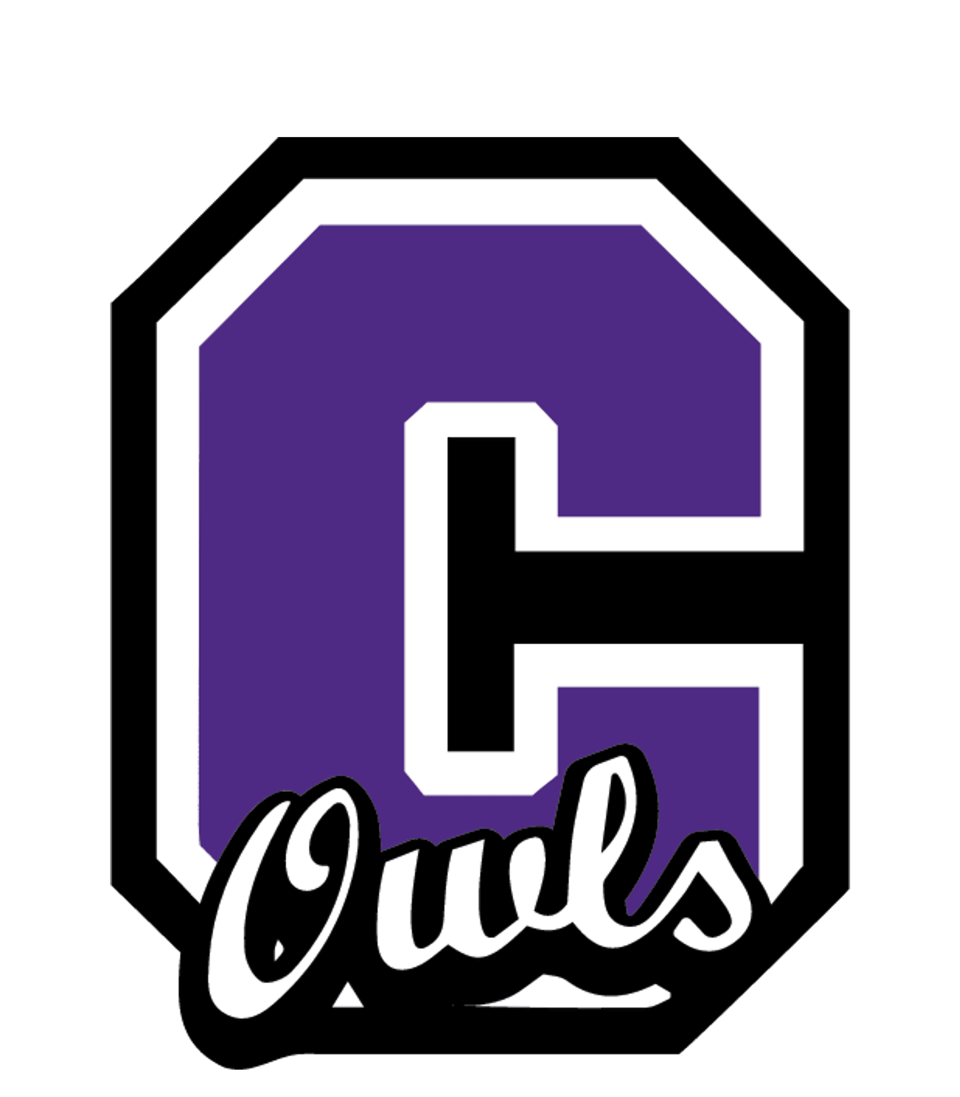 CHIRENO H S Logo