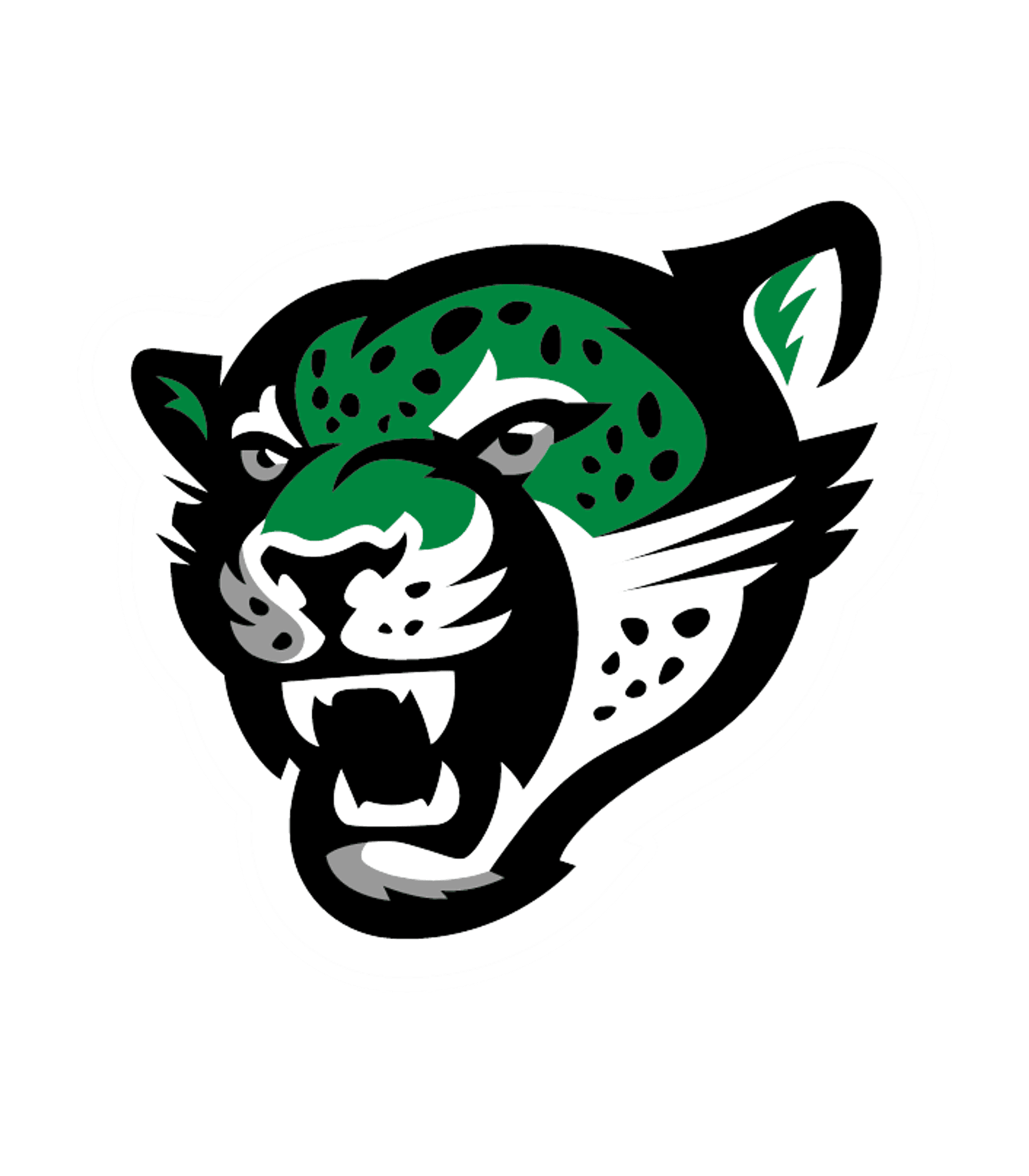 D'Evelyn Junior/Senior High School Logo