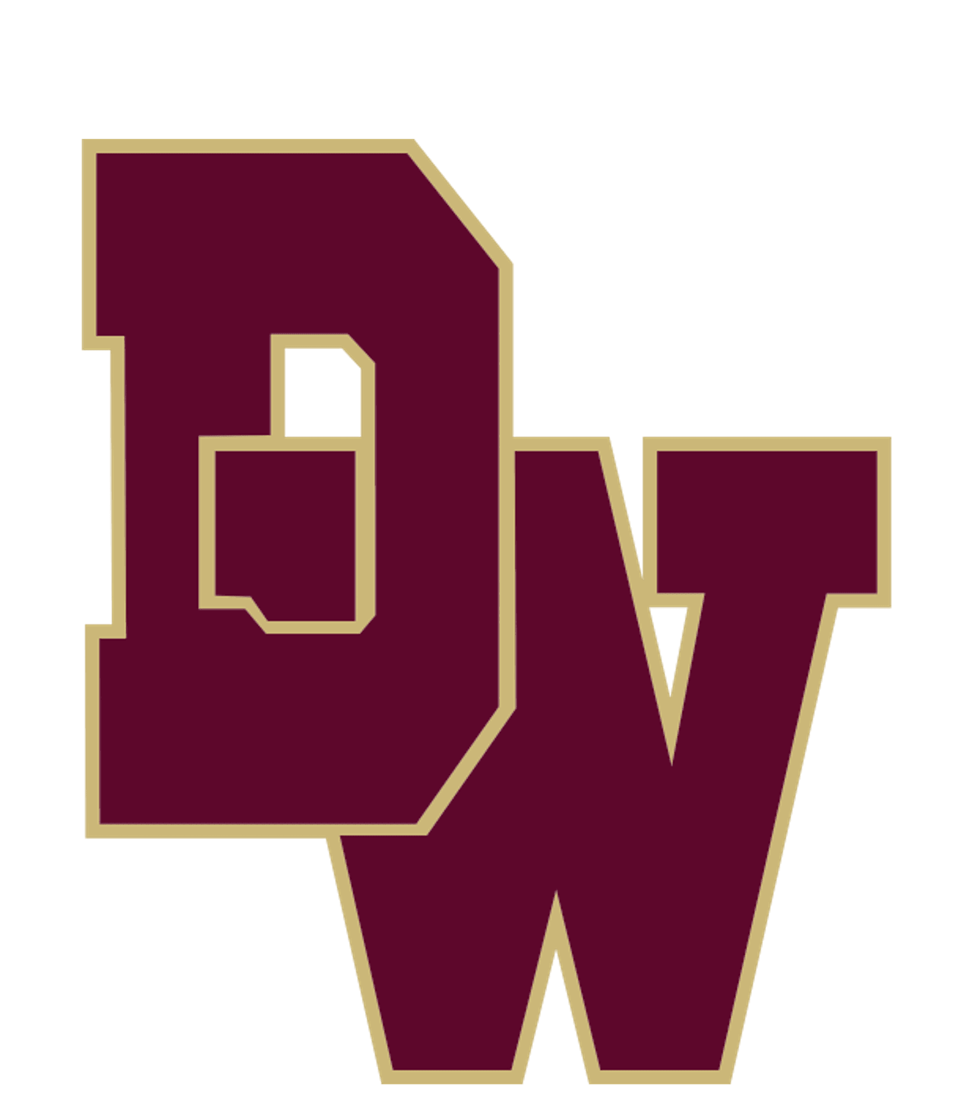 DEVINE LEARNING ACADEMY Logo