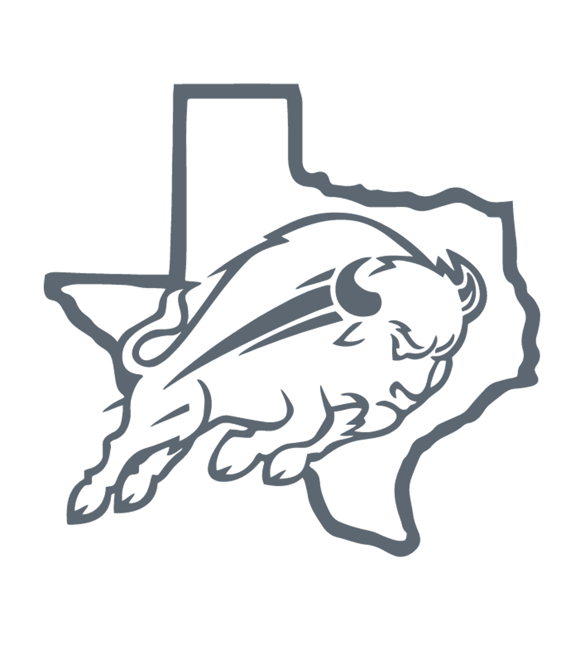 FORSAN H S Logo
