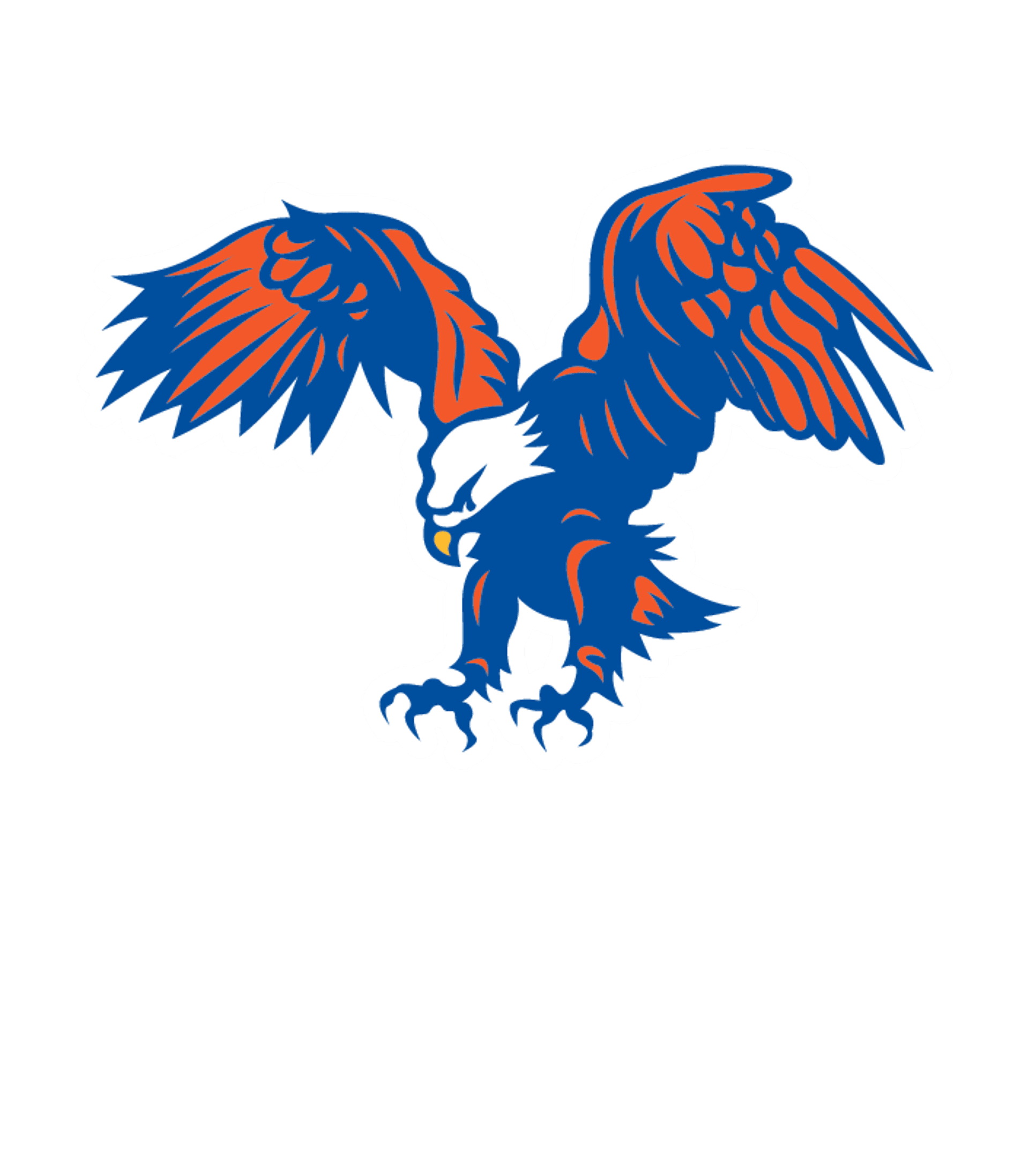 BRONSON MIDDLE/HIGH SCHOOL Logo