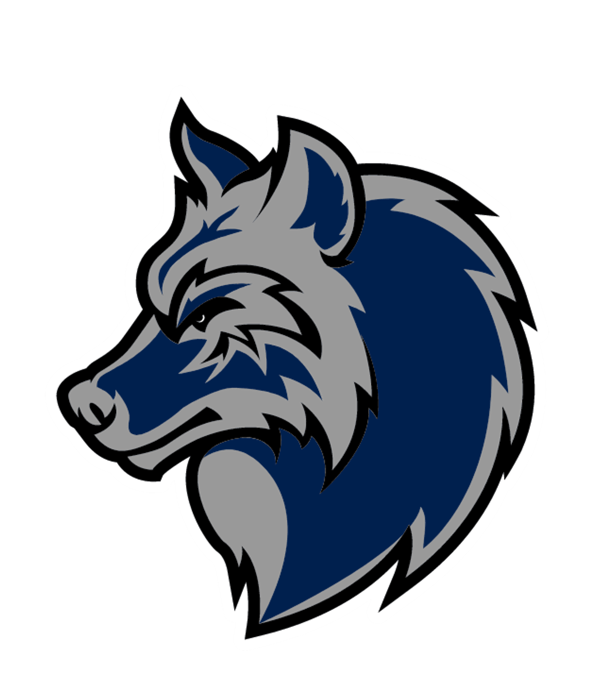 DSST: Cedar High School Logo