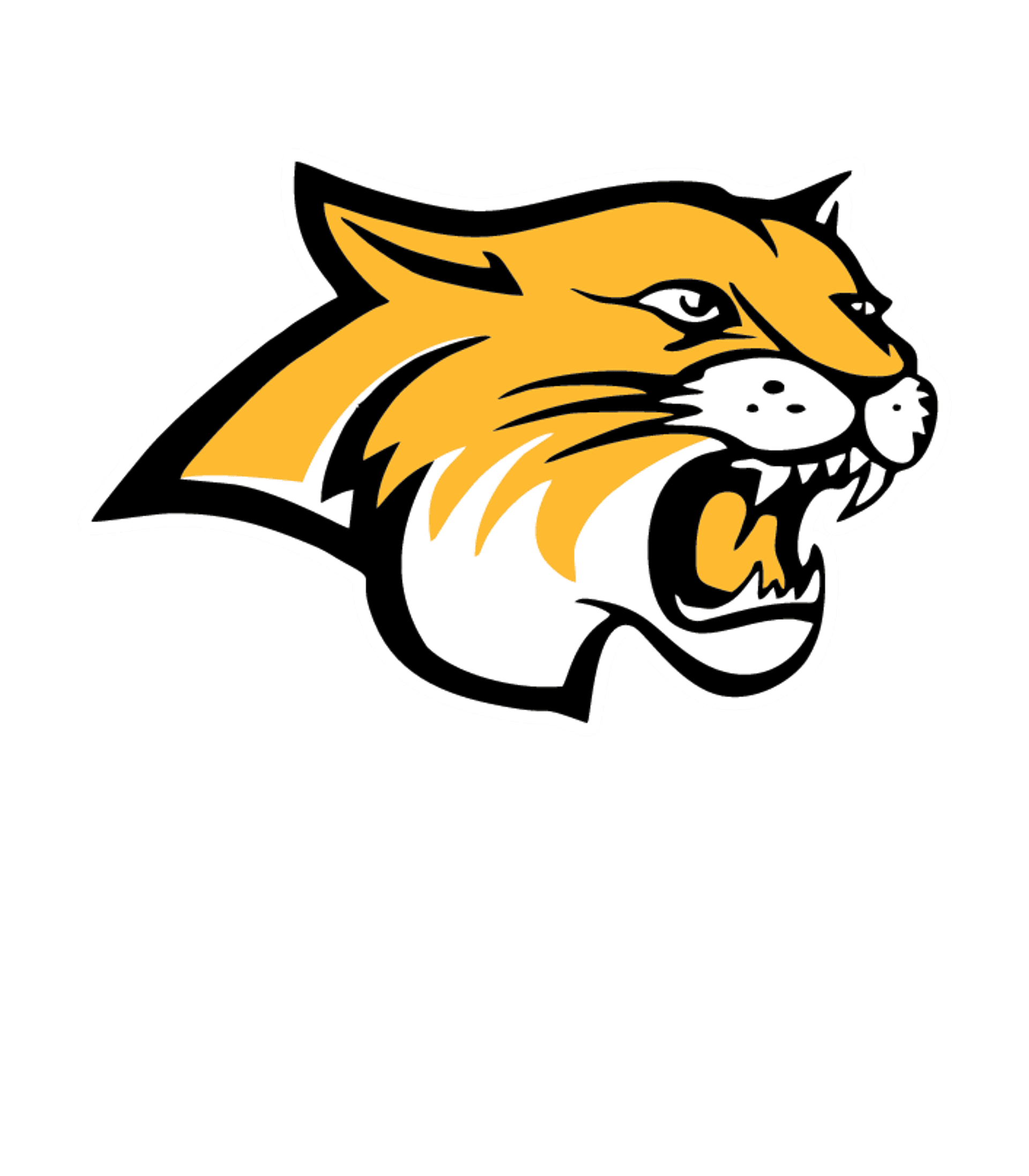 Donovan Sr High School Logo