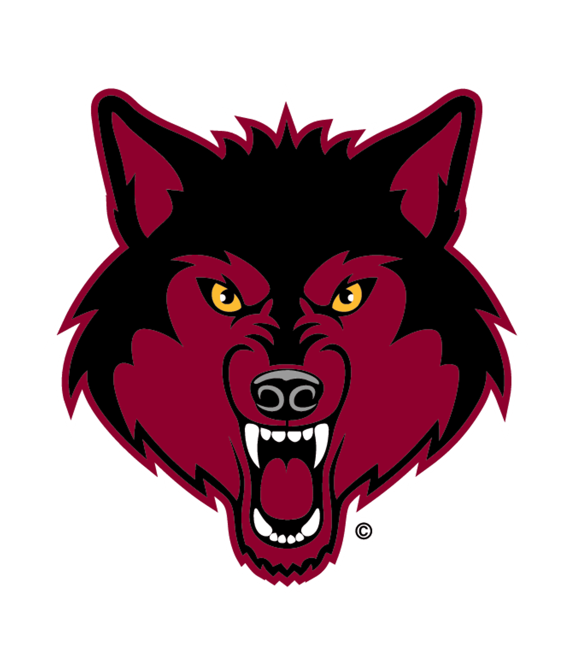 Dothan City Virtual School Logo