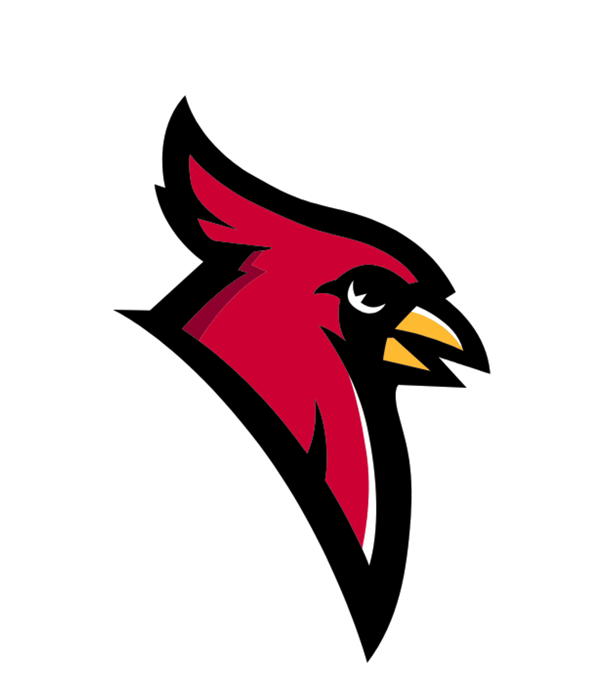 Dryden High School Logo