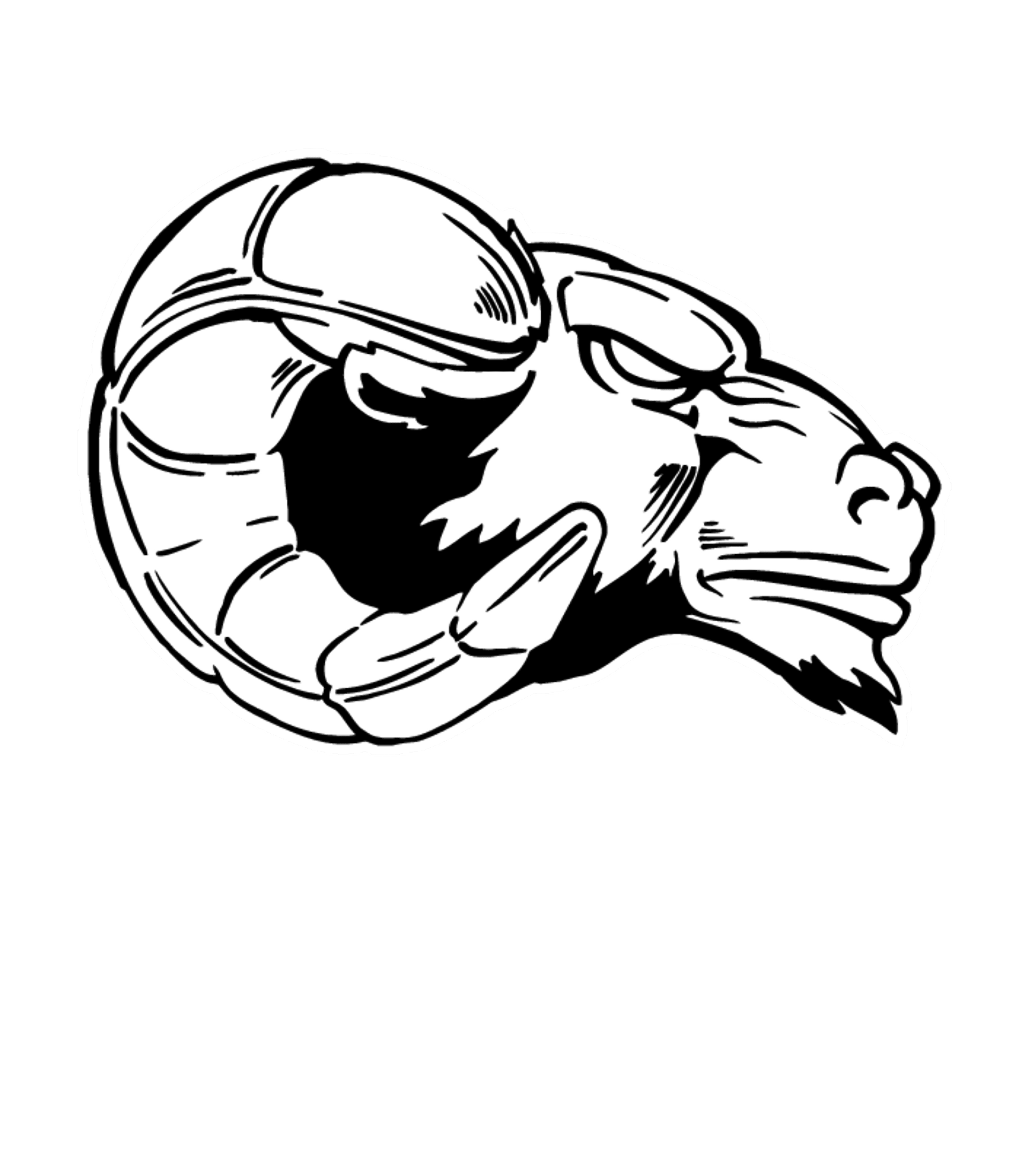 CLEARWATER VALLEY JR/SR Logo
