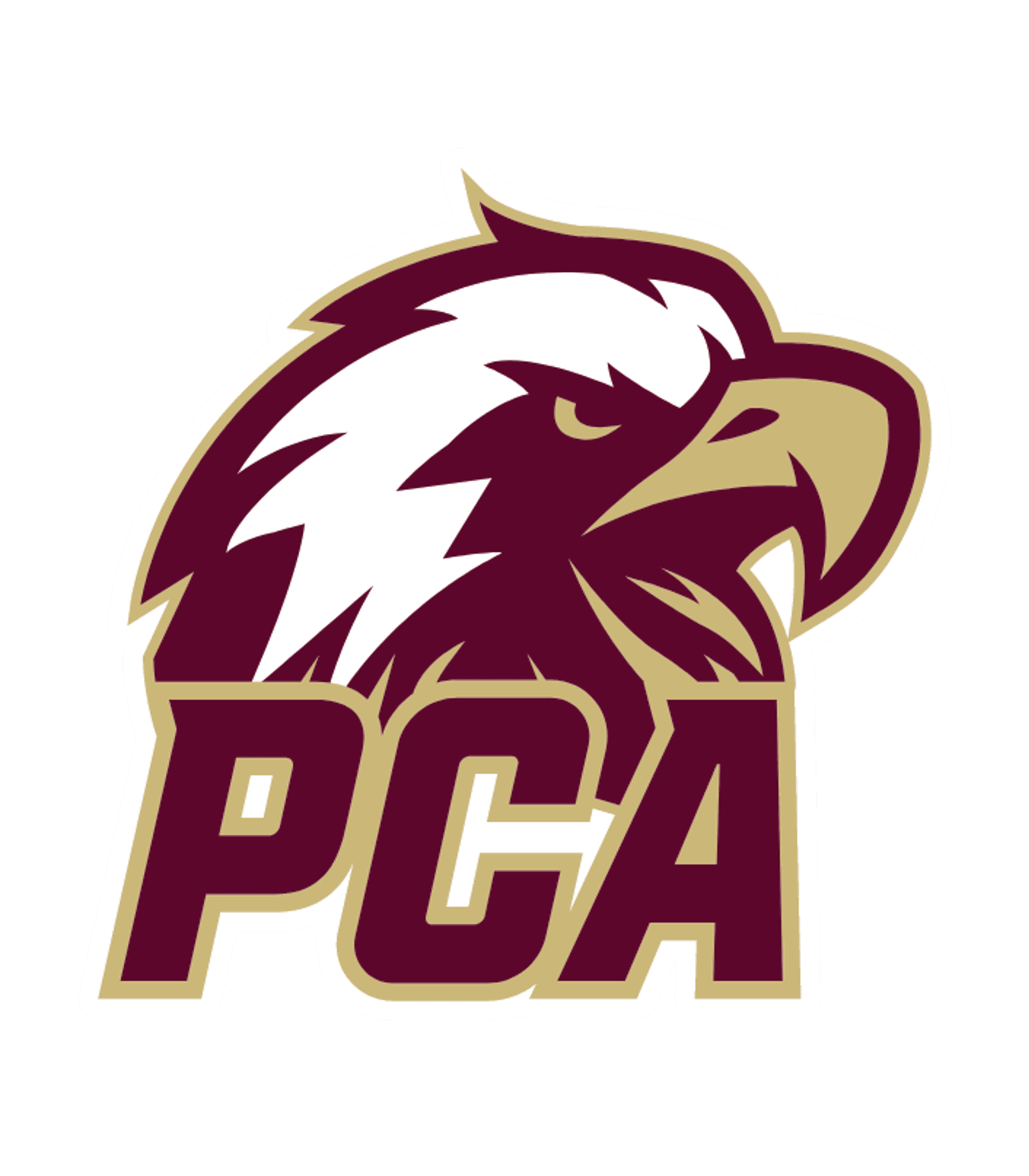 Dover Senior High School Logo