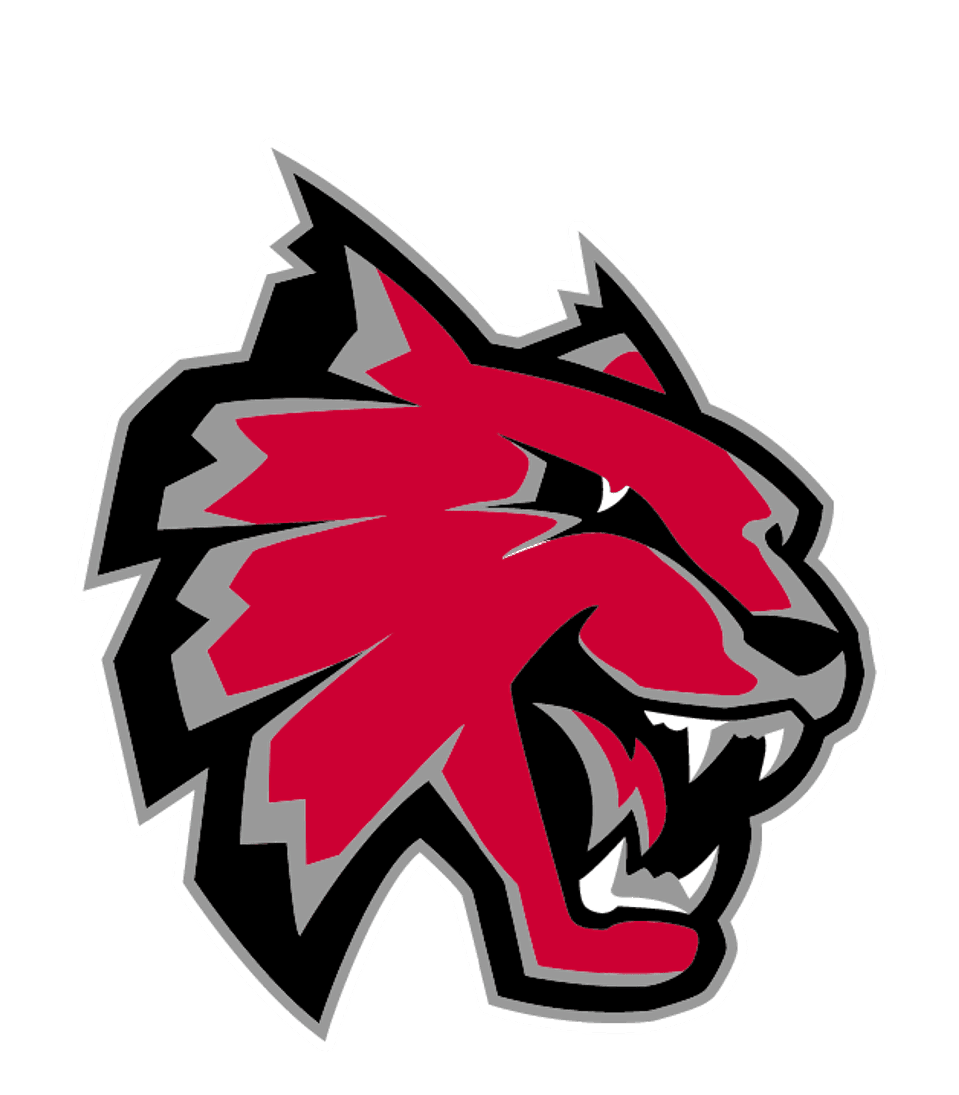 Andrews High Logo