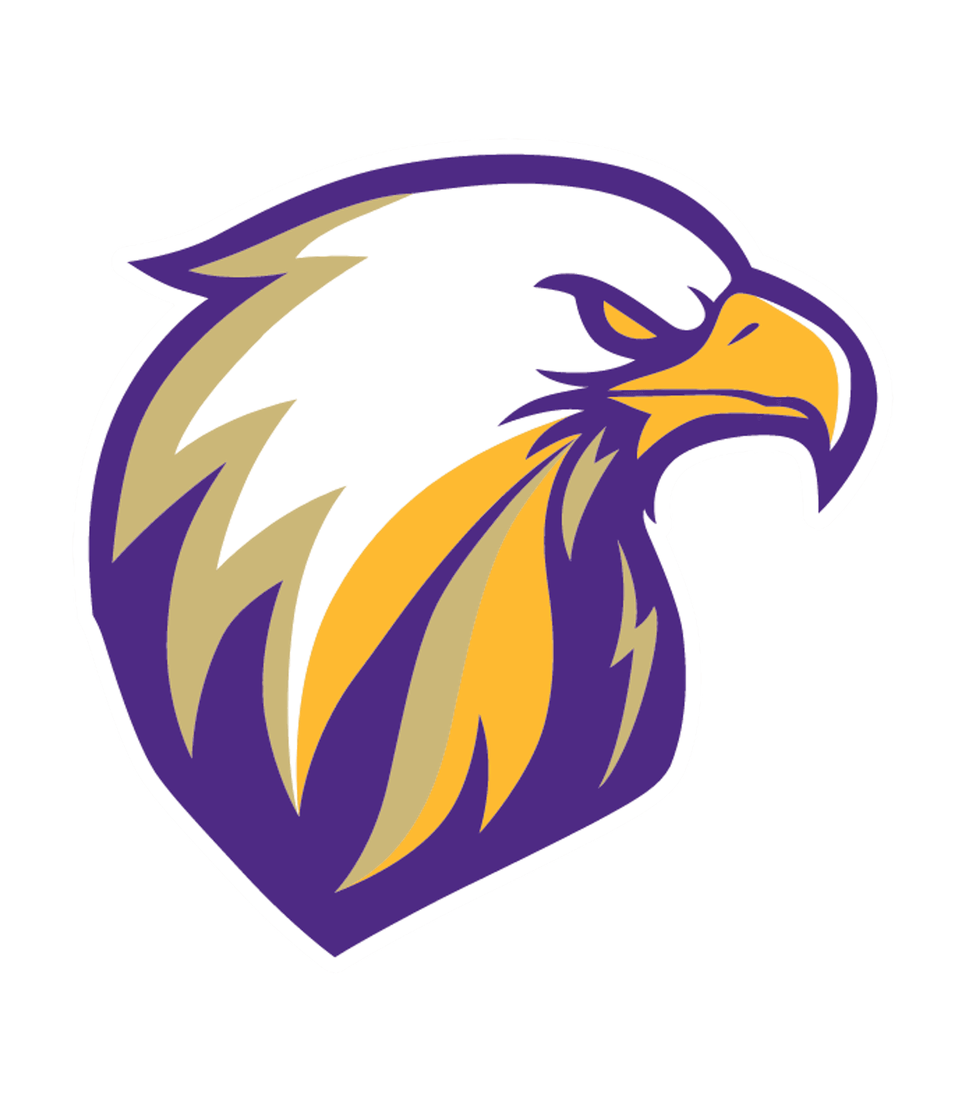 DUANESBURG HIGH SCHOOL Logo