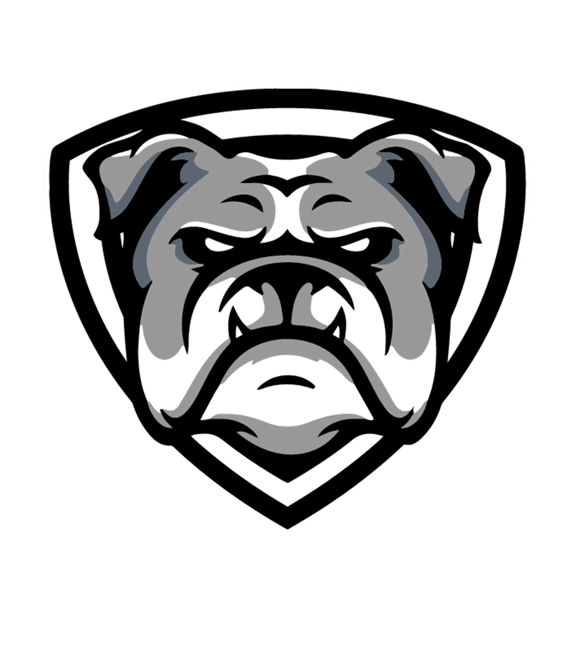 COBLESKILL-RICHMONDVILLE HIGH SCHOOL Logo