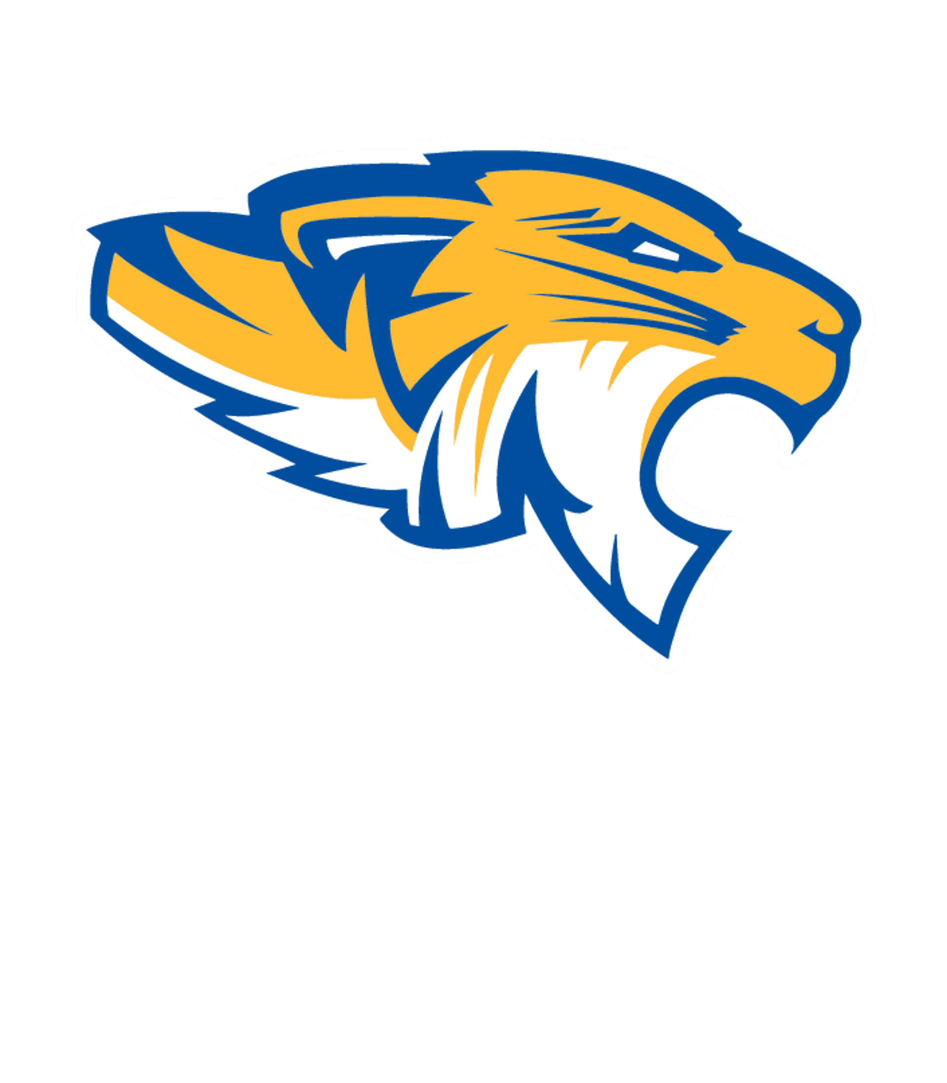 FRENSHIP H S Logo
