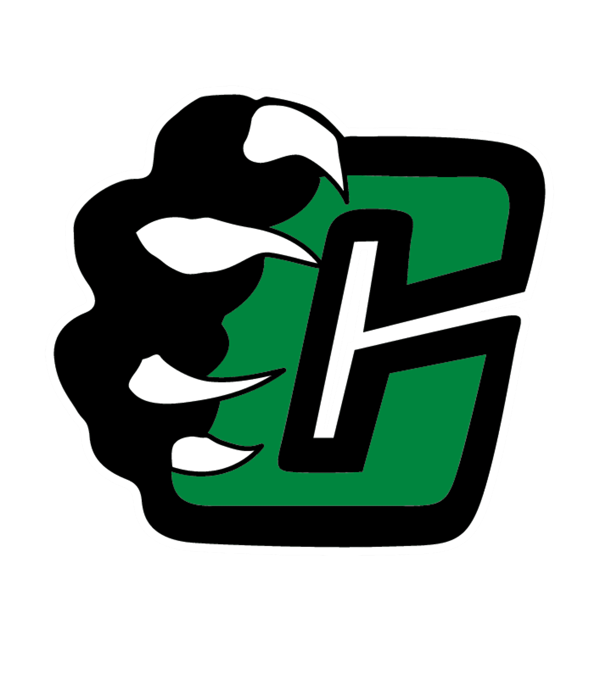CLIFTON H S Logo