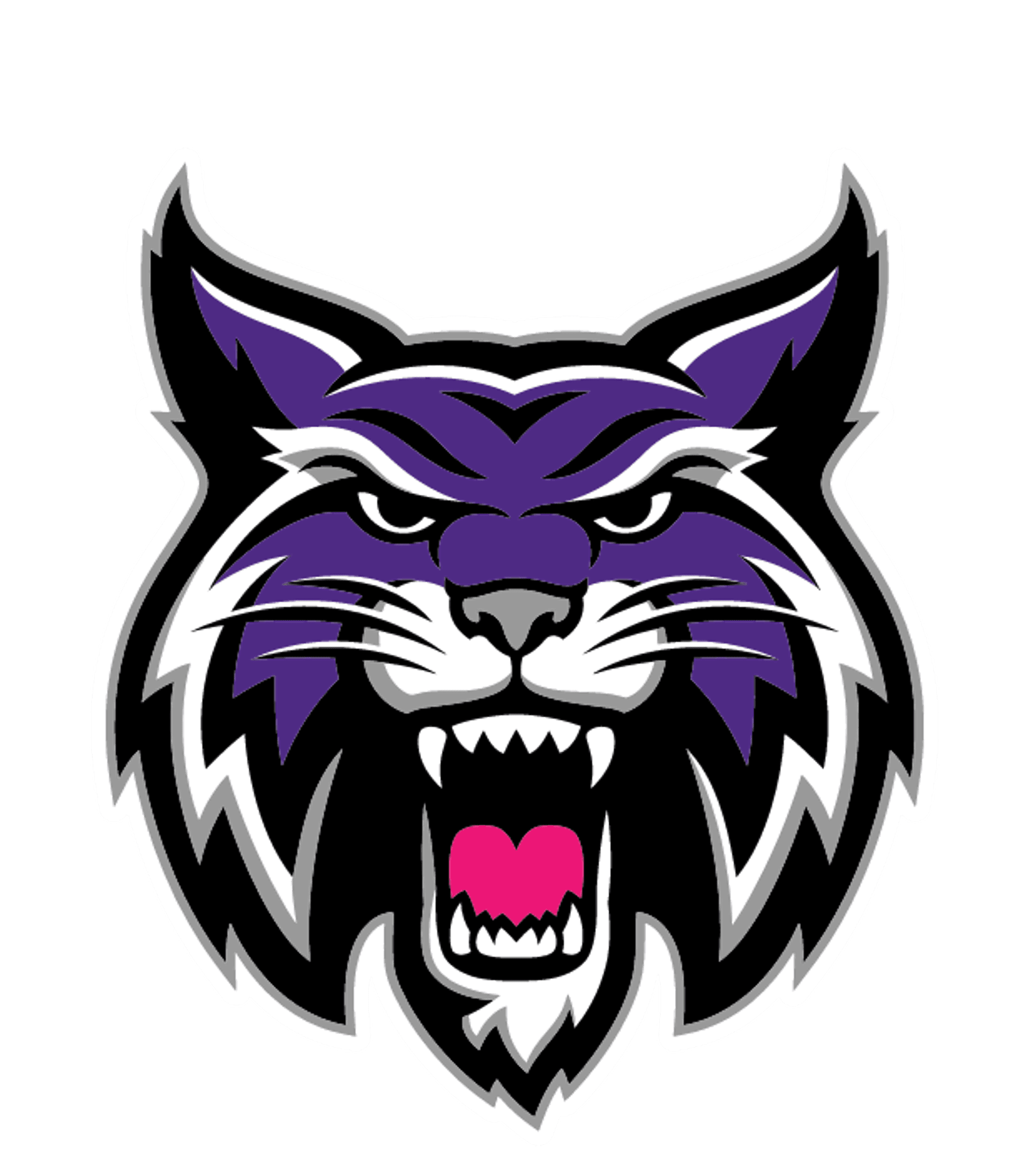 HALLSVILLE H S Logo
