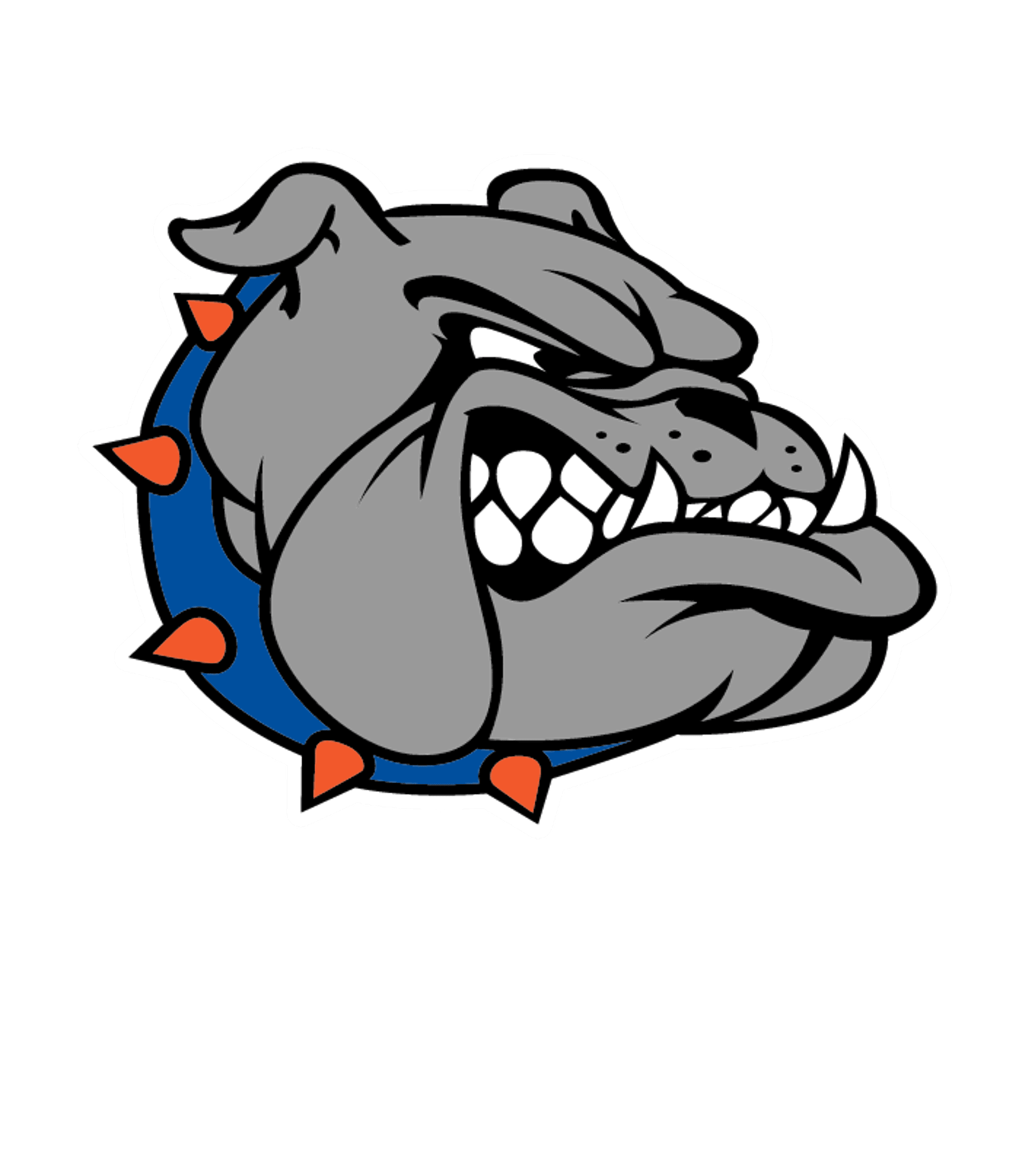 FREEPORT SENIOR HIGH SCHOOL Logo