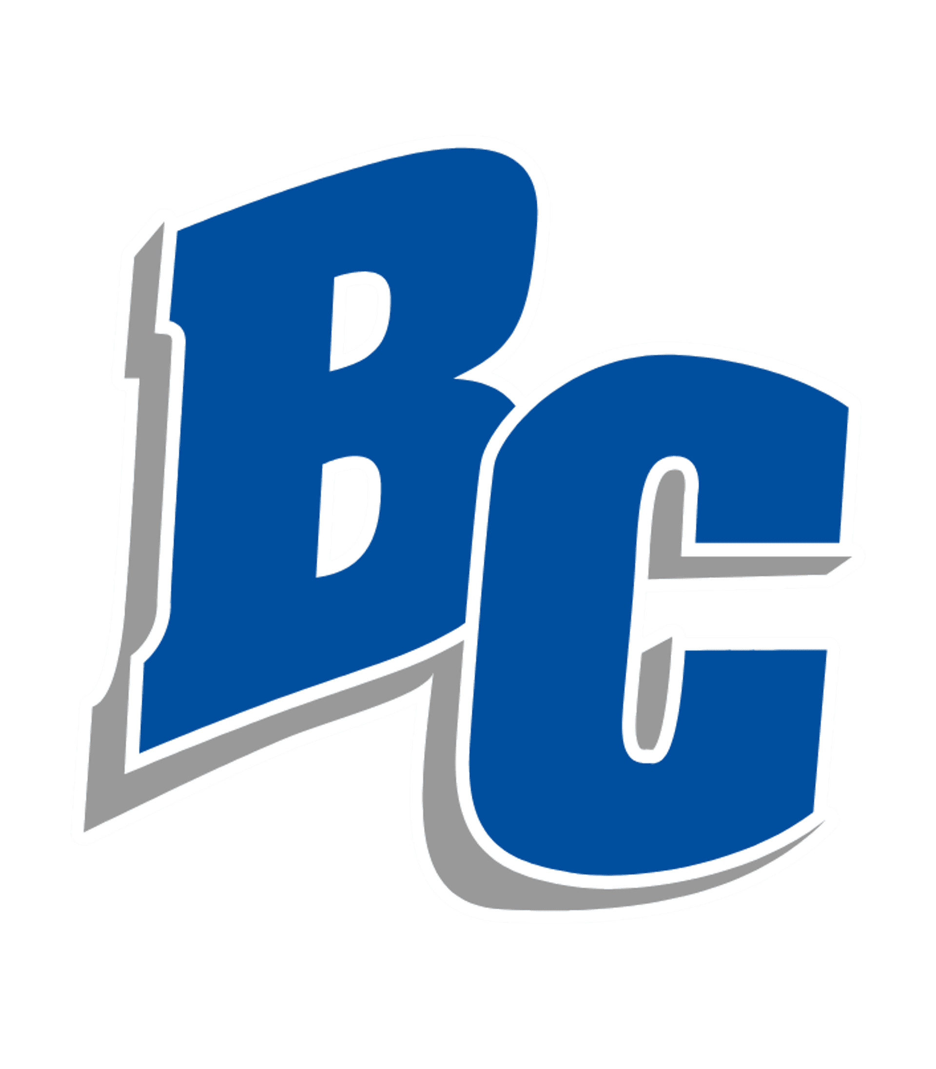 Brookfield Central High Logo