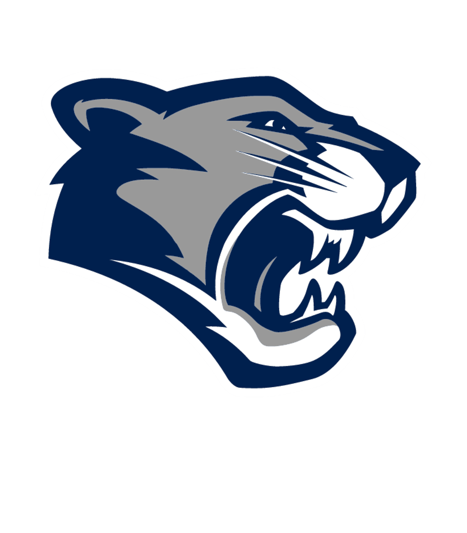 Eagle Academy for Young Men of Newark Logo