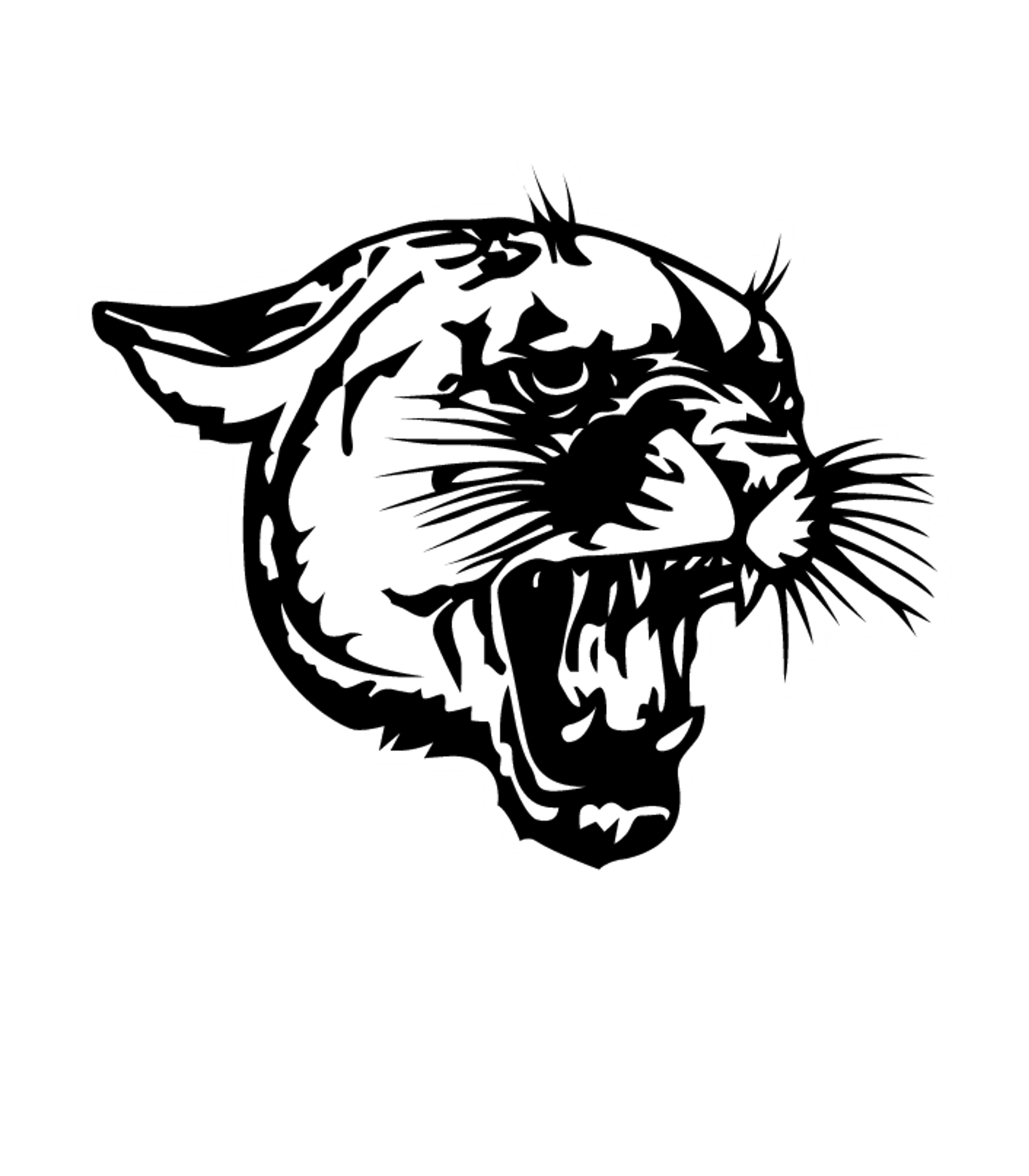 Coleman High Logo