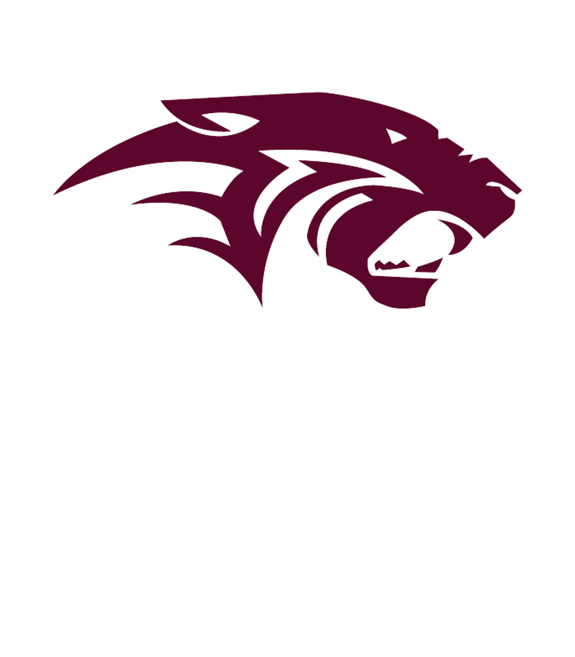 DUNKIRK SENIOR HIGH SCHOOL Logo