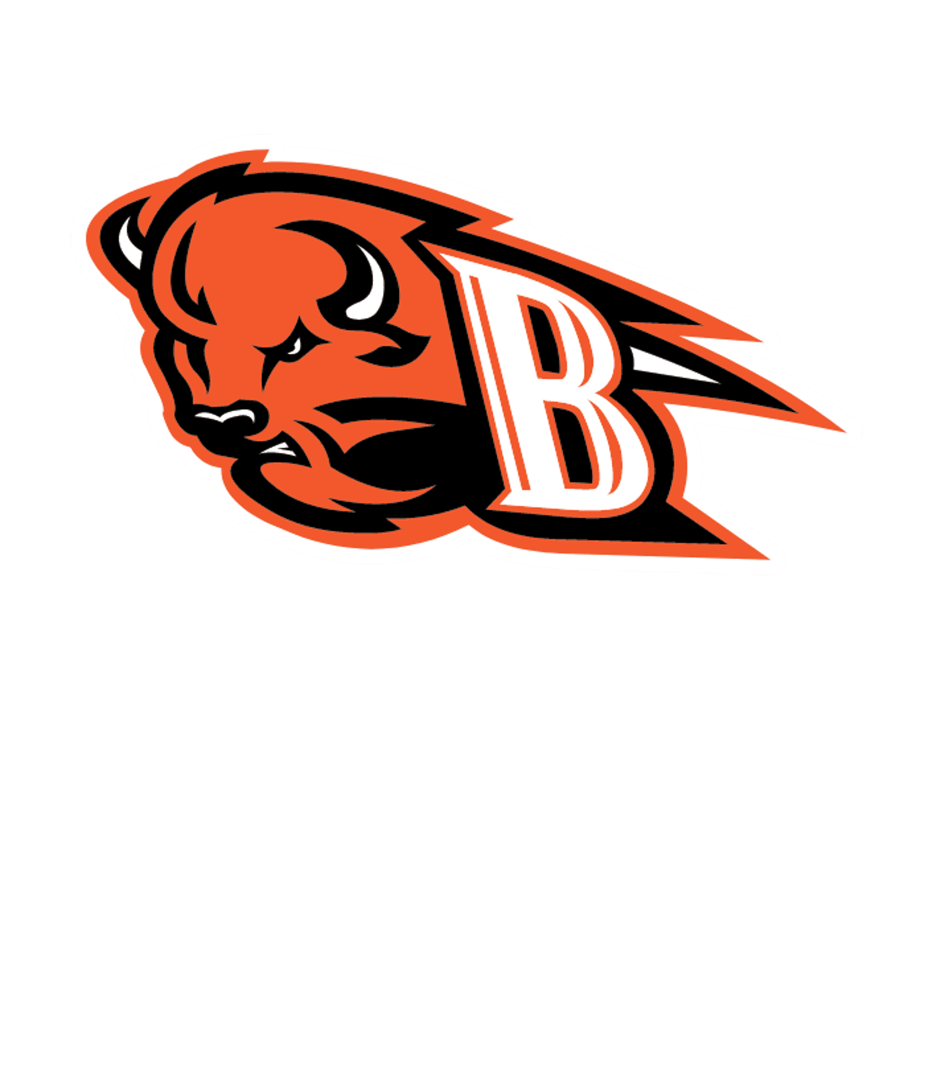 BUFFALO HS Logo
