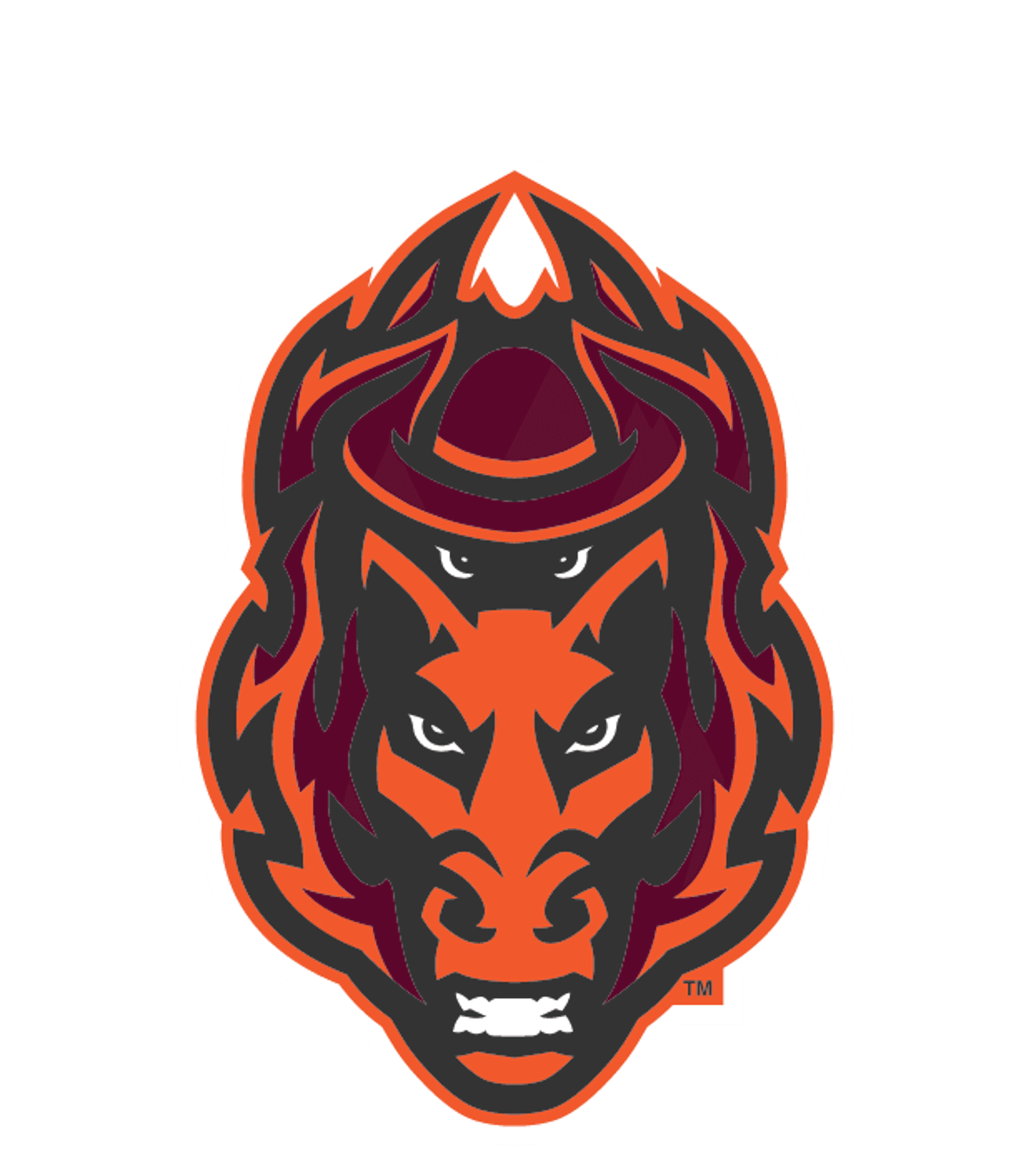 Rancho San Juan High Logo