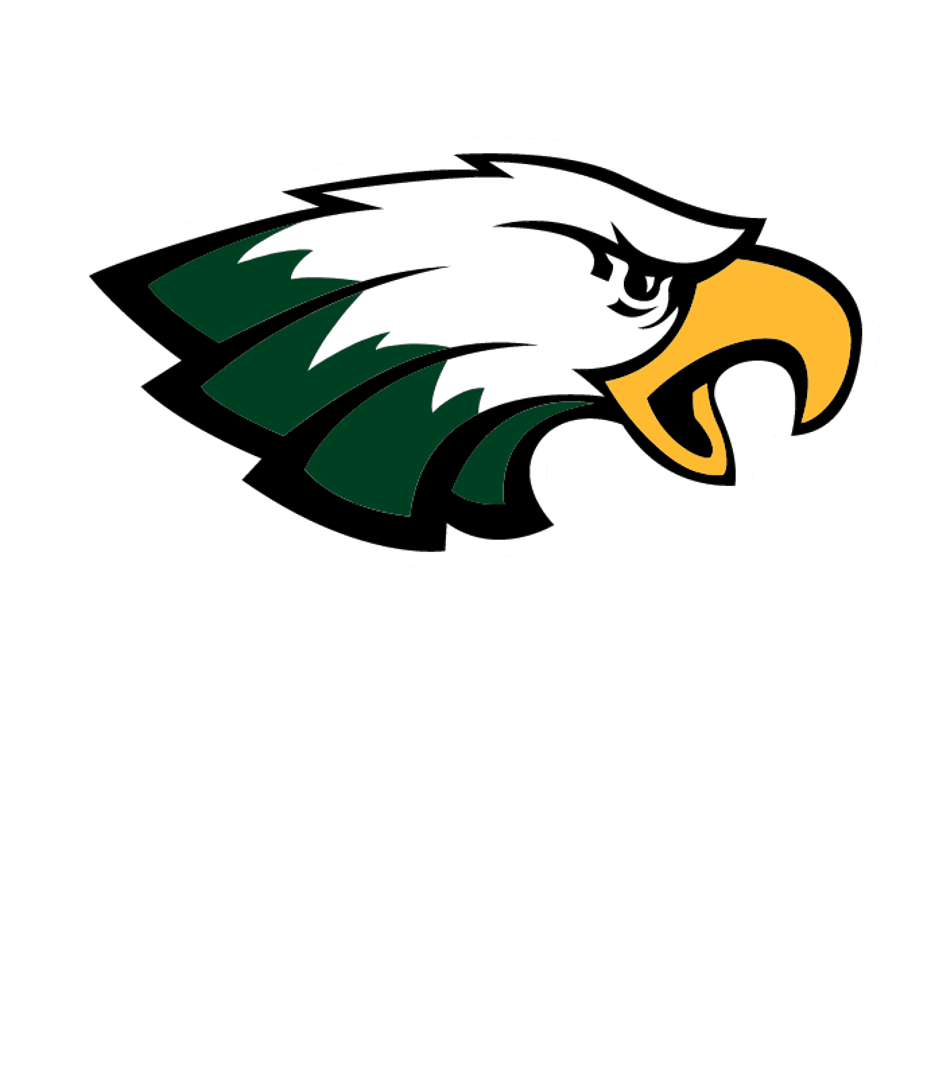 Eisenhower High Logo