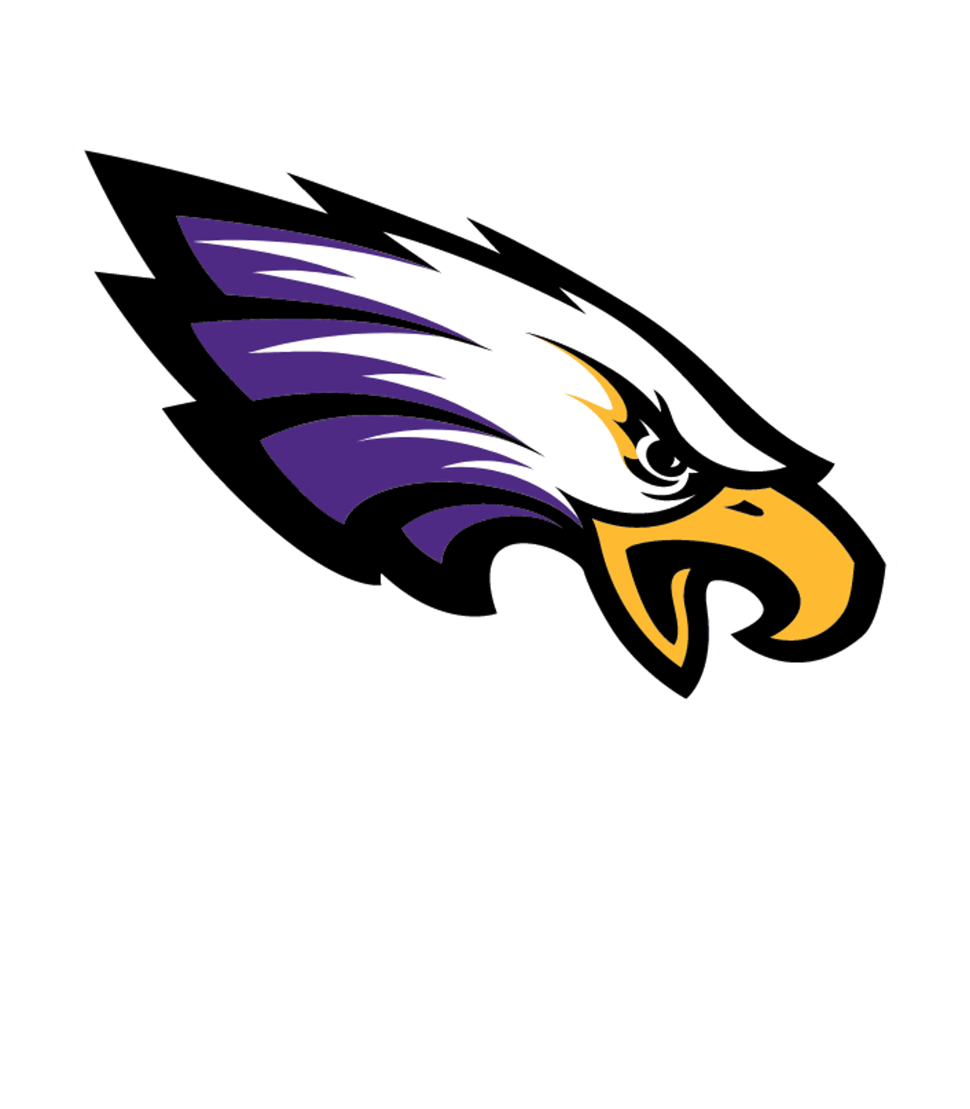 Byron Area High School Logo