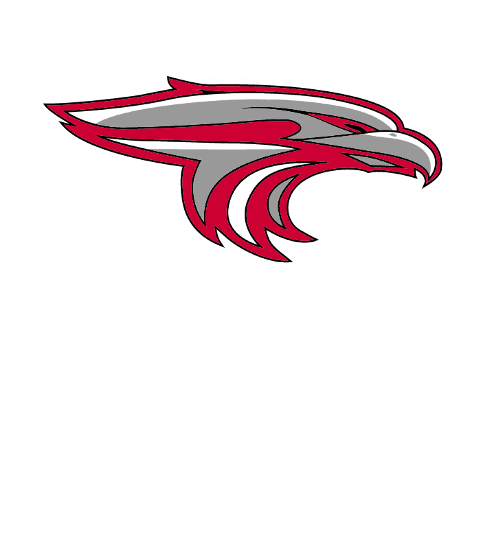ECON RIVER HIGH CHARTER Logo