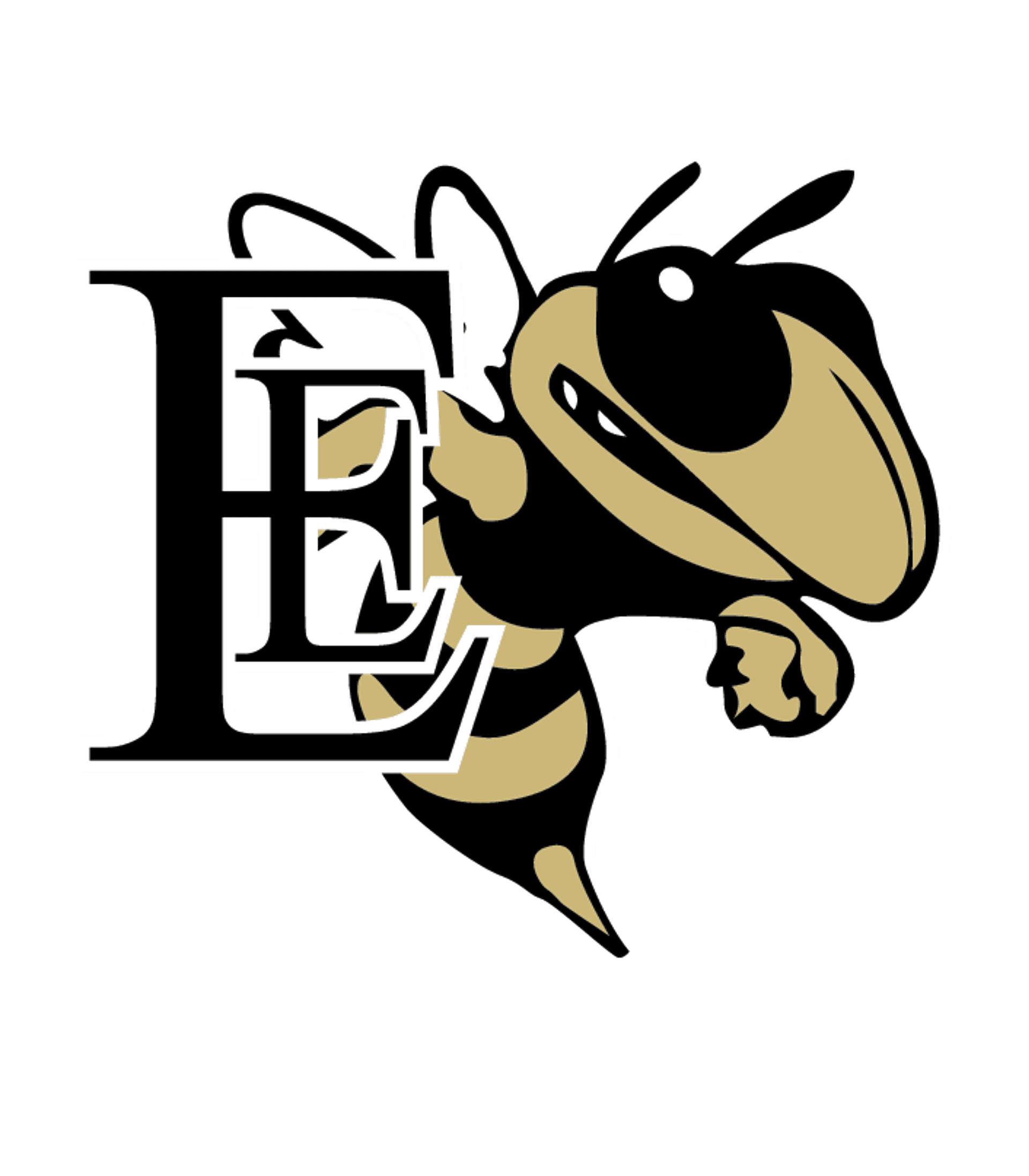 EDCOUCH-ELSA H S Logo