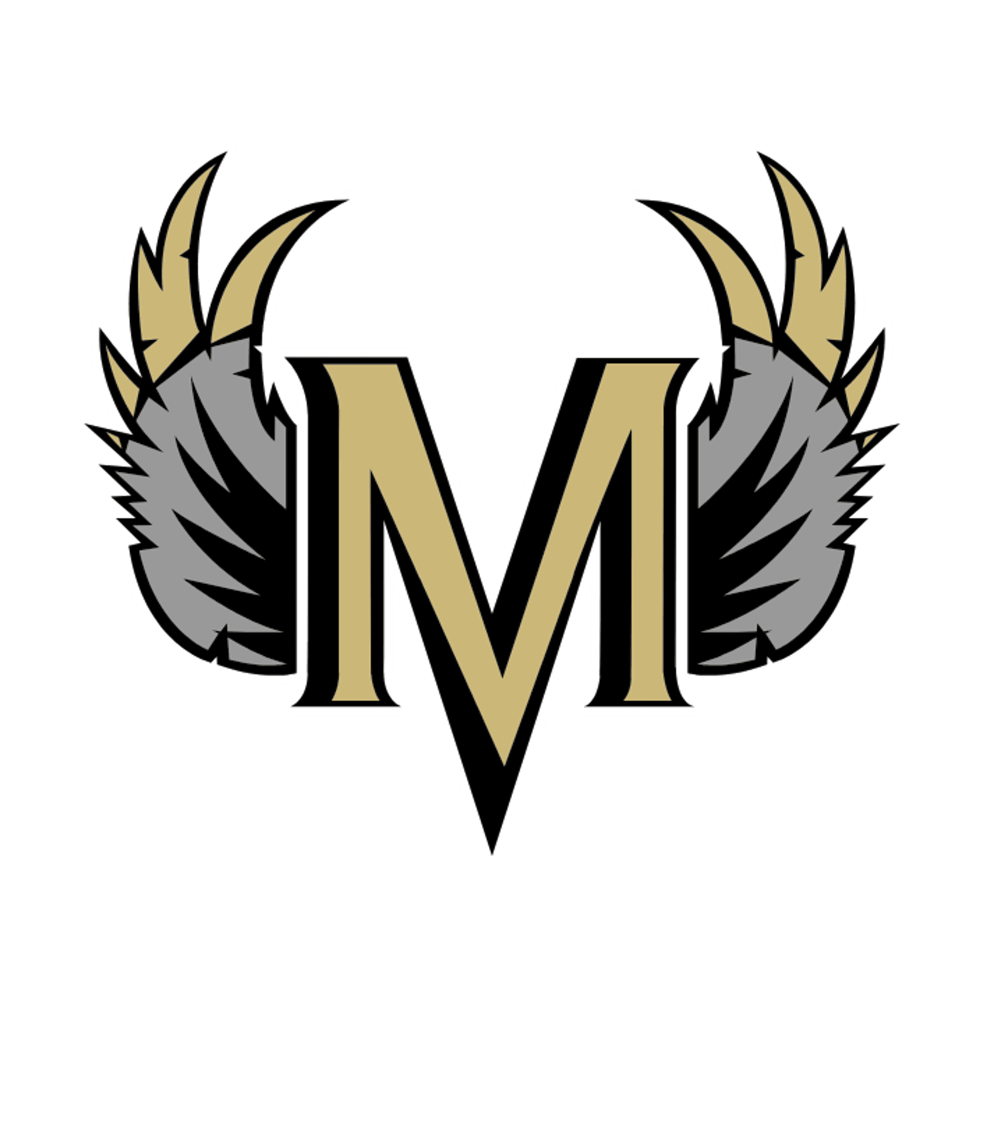 Millennium Charter Logo