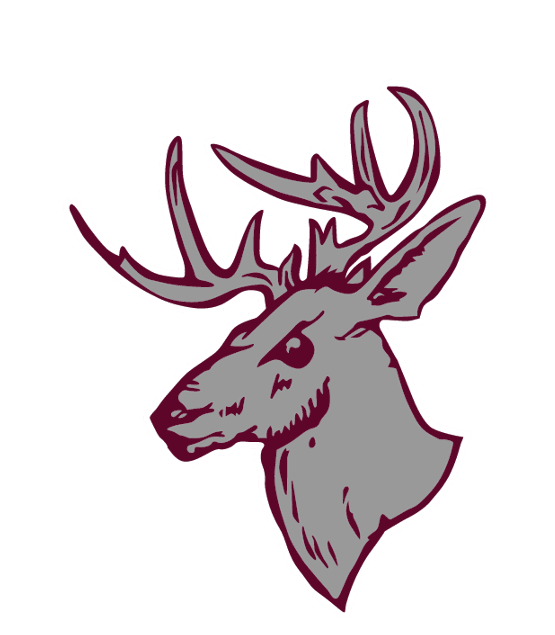 Buckfield Jr-Sr High School Logo