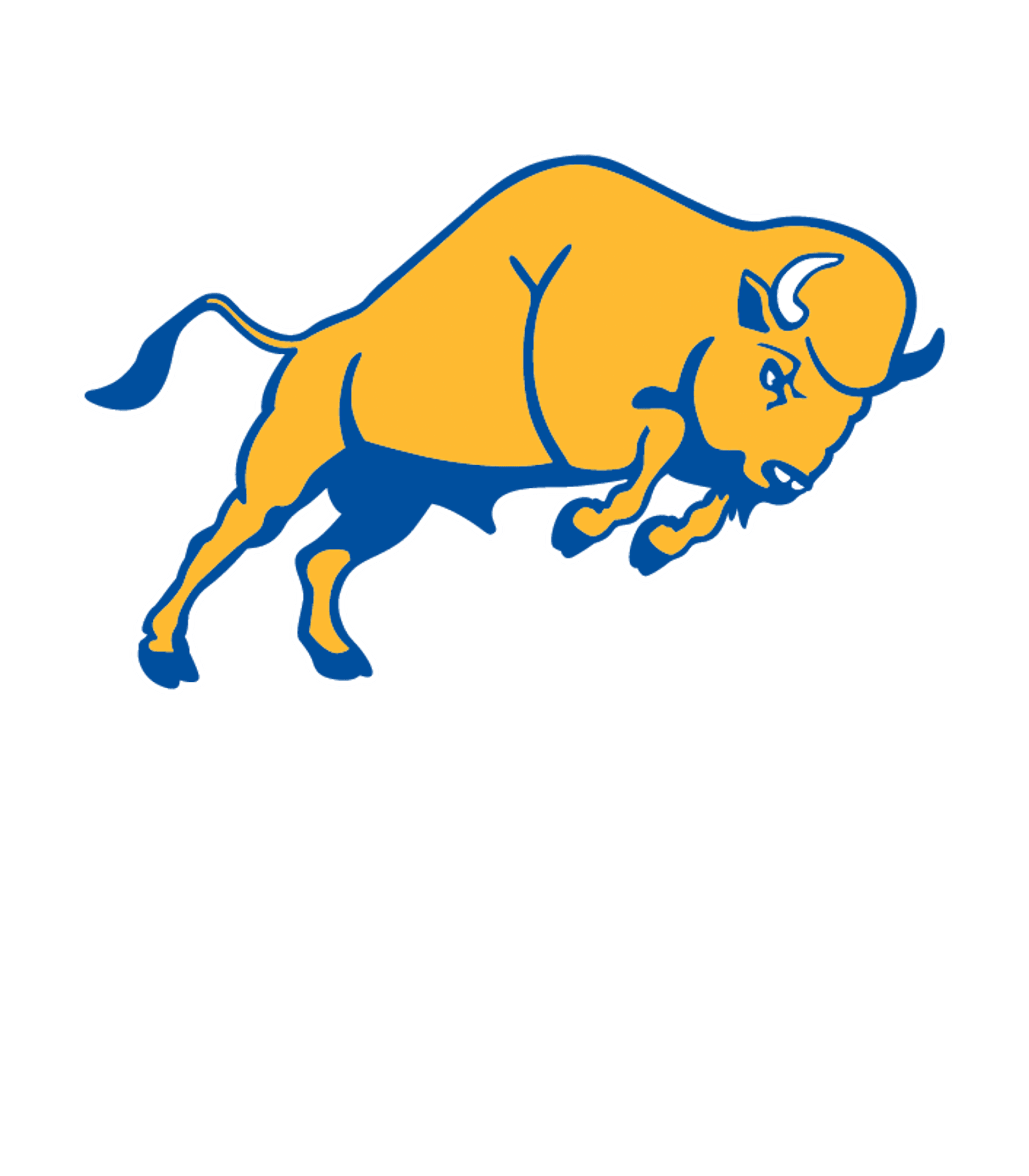 BUFFALO SCHOOL OF CULINARY ARTS AND HOSPITALITY MANAGEMENT Logo