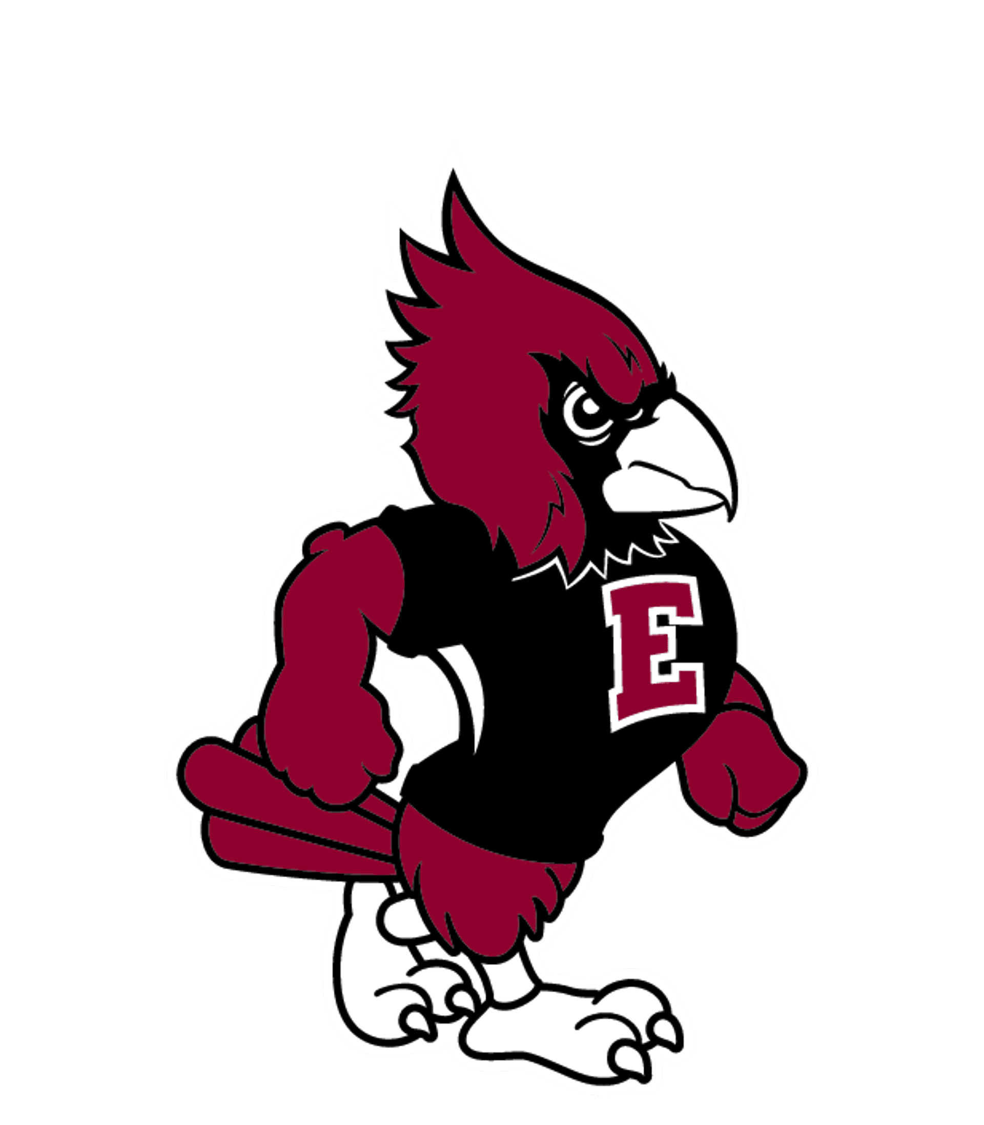 ELLENDALE HIGH VIRTUAL ACADEMY Logo