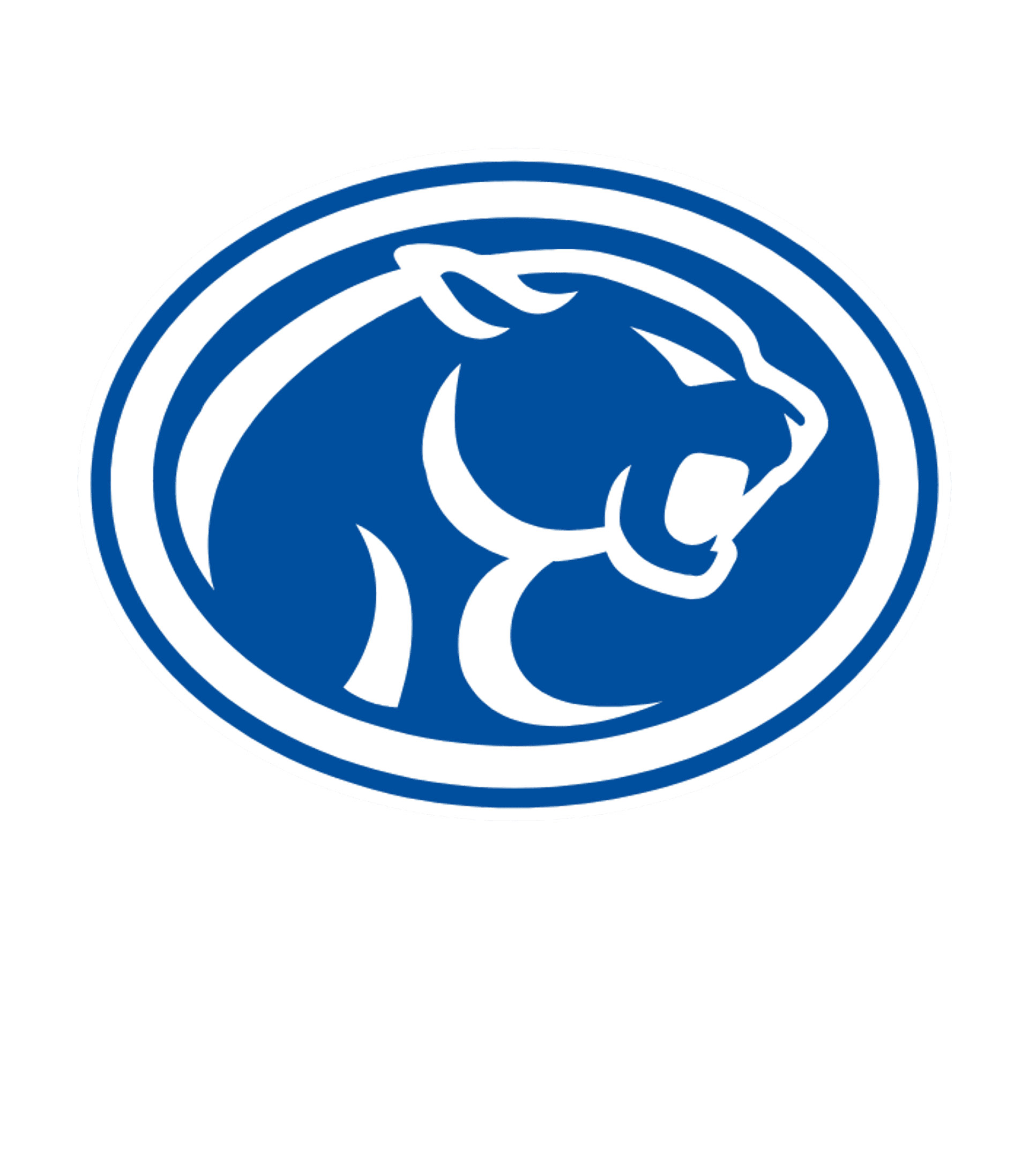 BUNA H S Logo