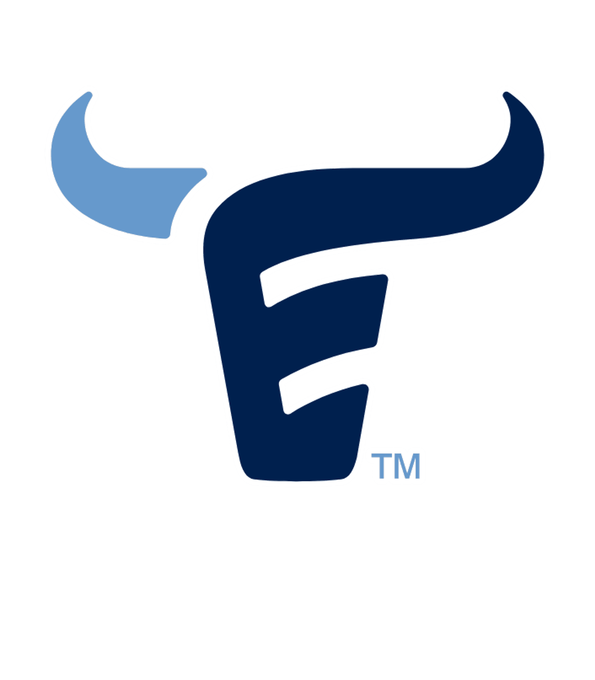 EMERSON H S Logo