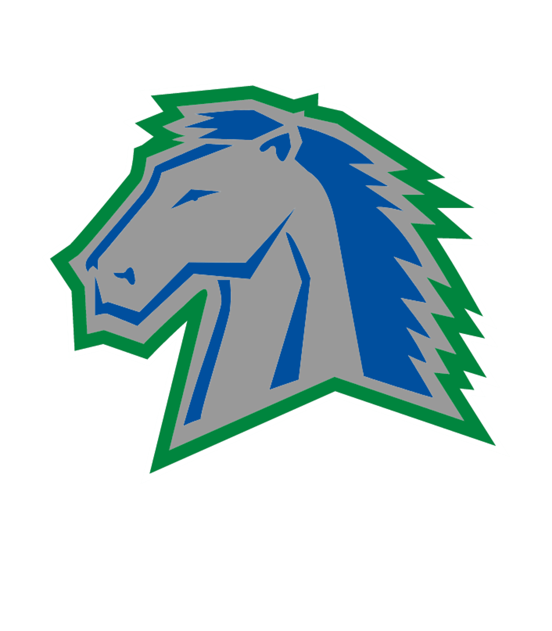 ELKHORN NORTH HIGH SCHOOL Logo