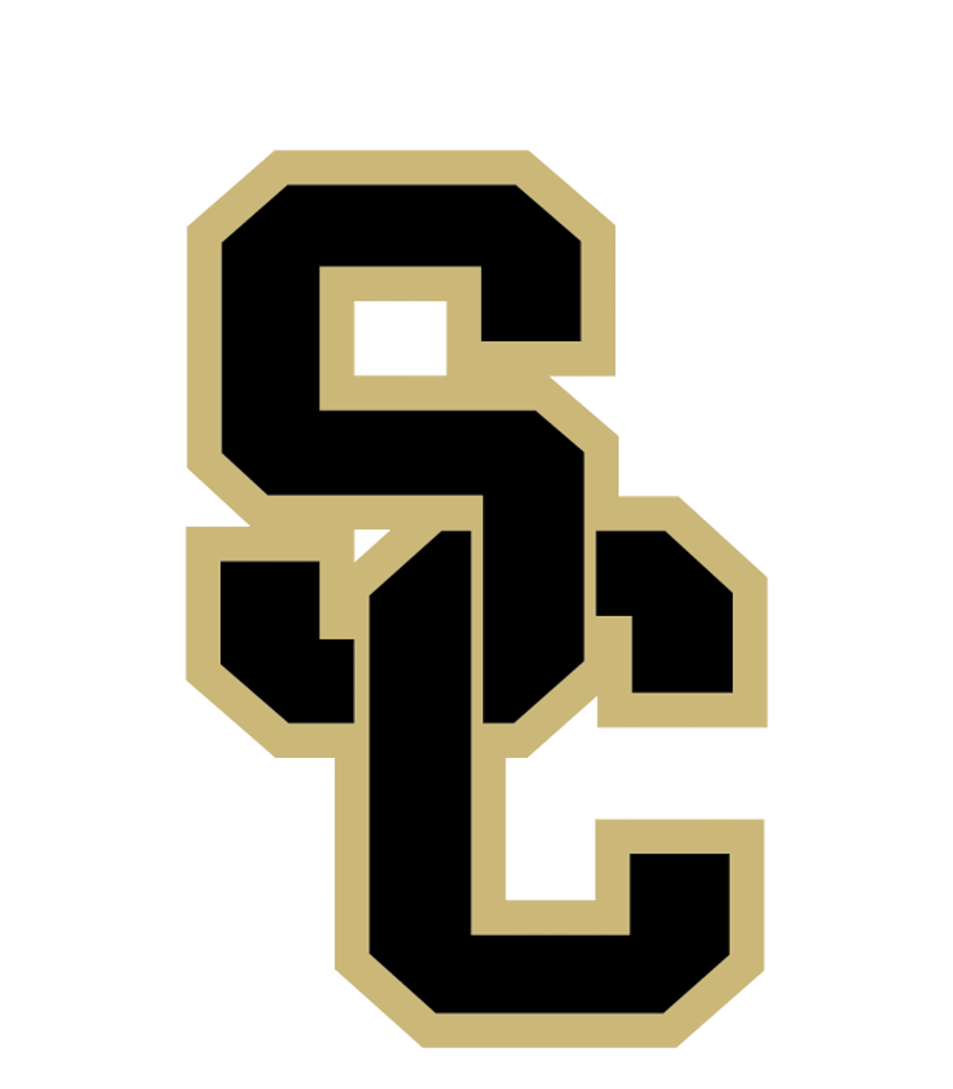 Stewart Co High School Logo