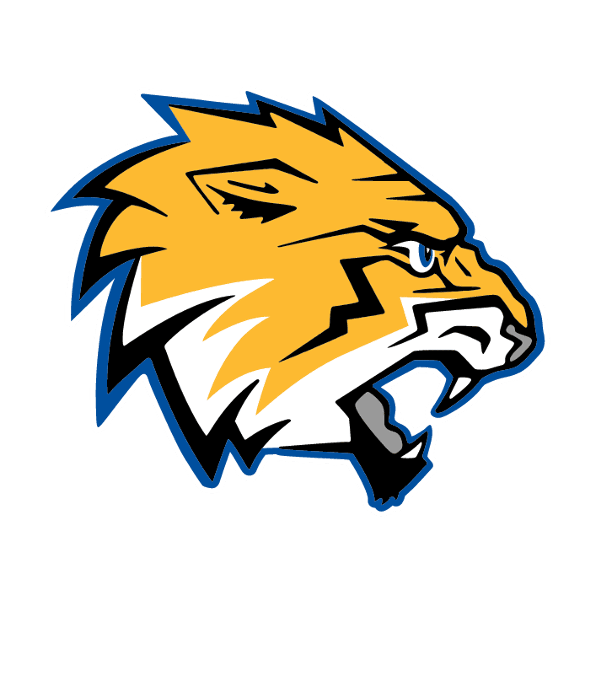 ROTHSAY SECONDARY Logo