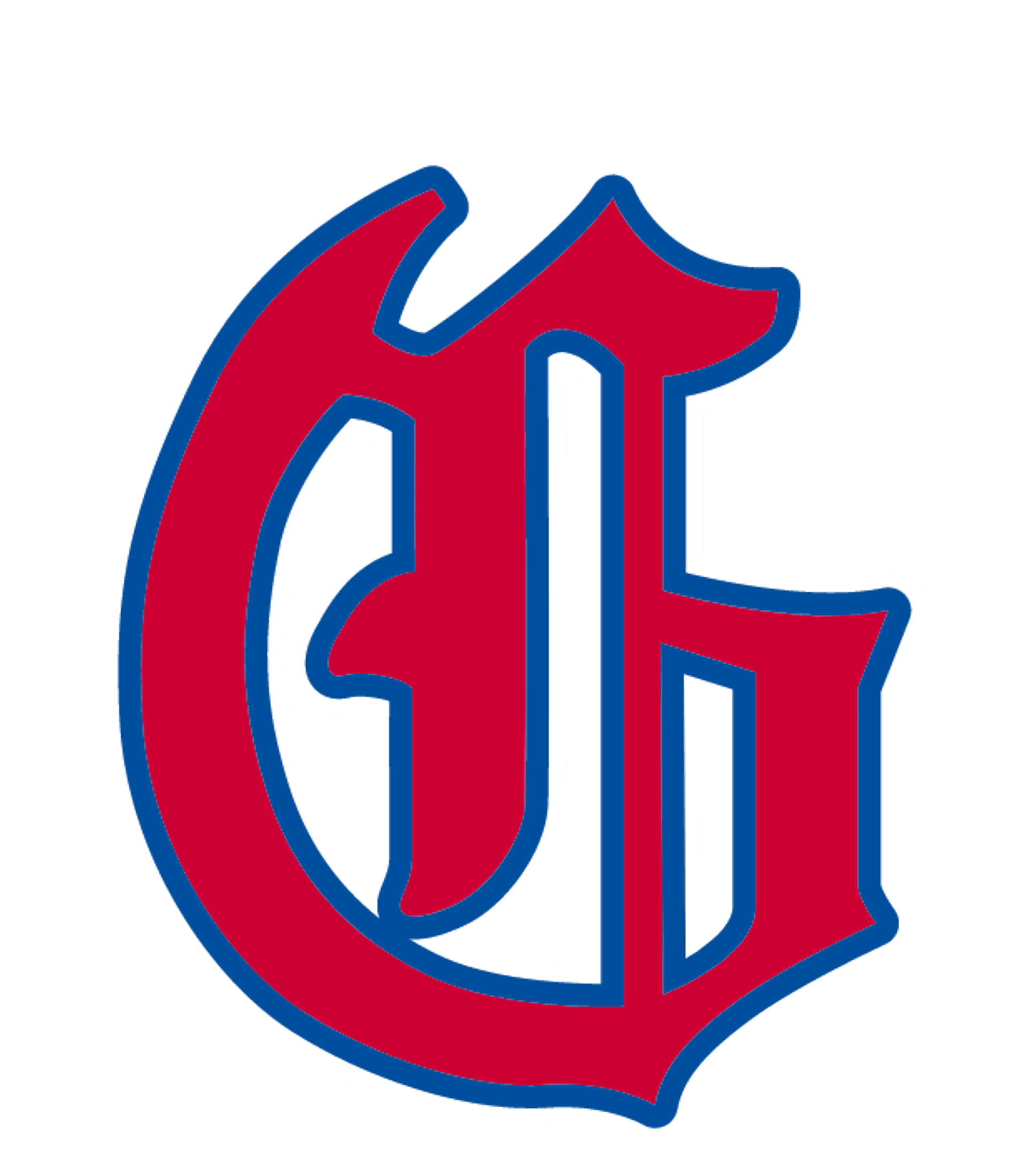GRAPEVINE H S Logo