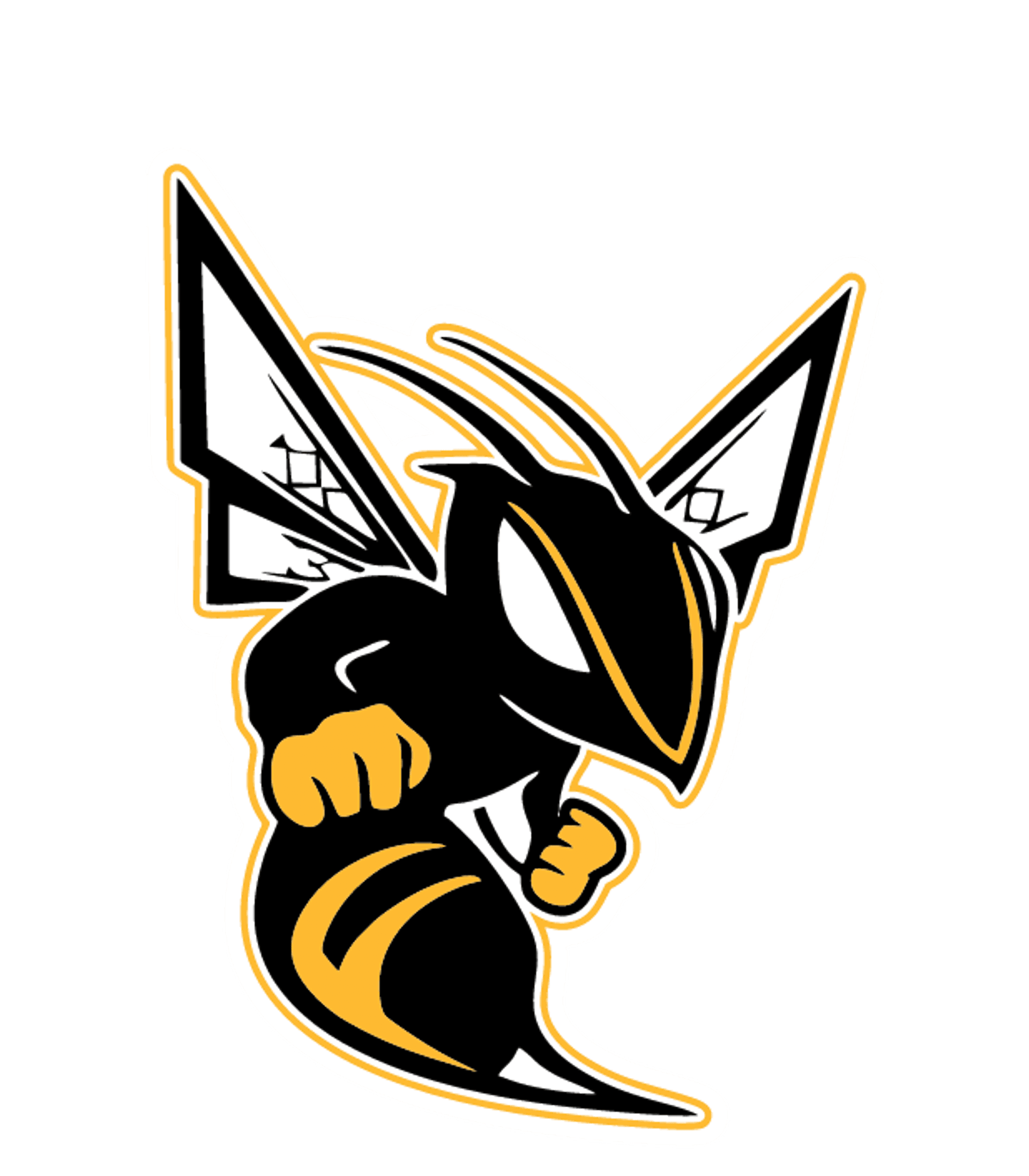 FULTON SR. HIGH Logo
