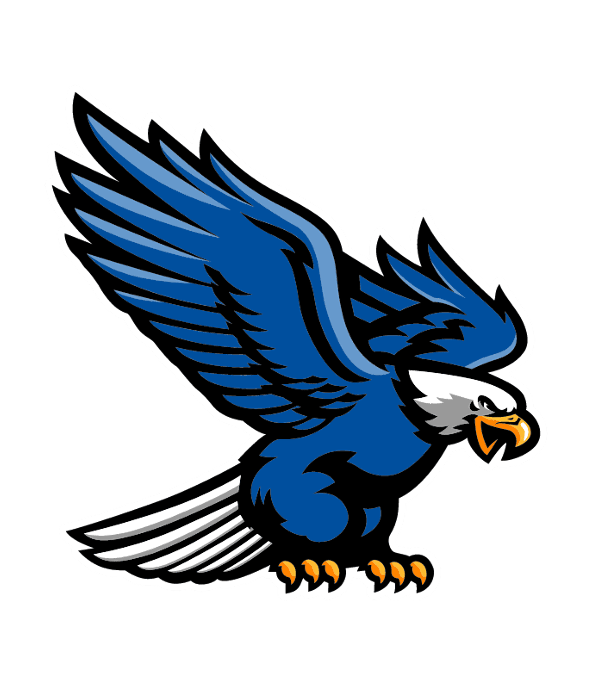 Auburndale High Logo