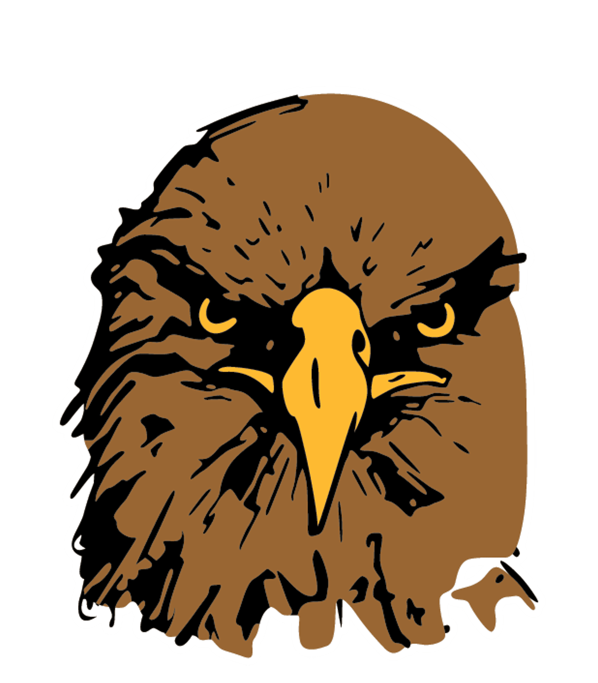 GALWAY JUNIOR/SENIOR HIGH SCHOOL Logo