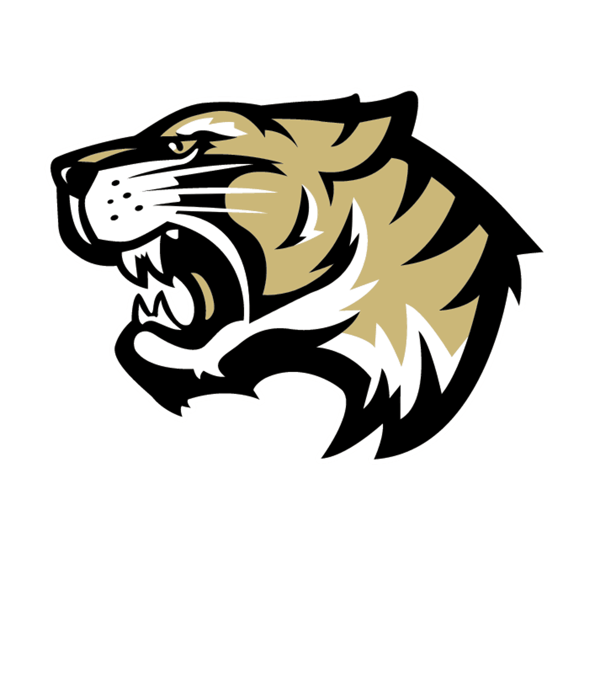 IRVING H S Logo