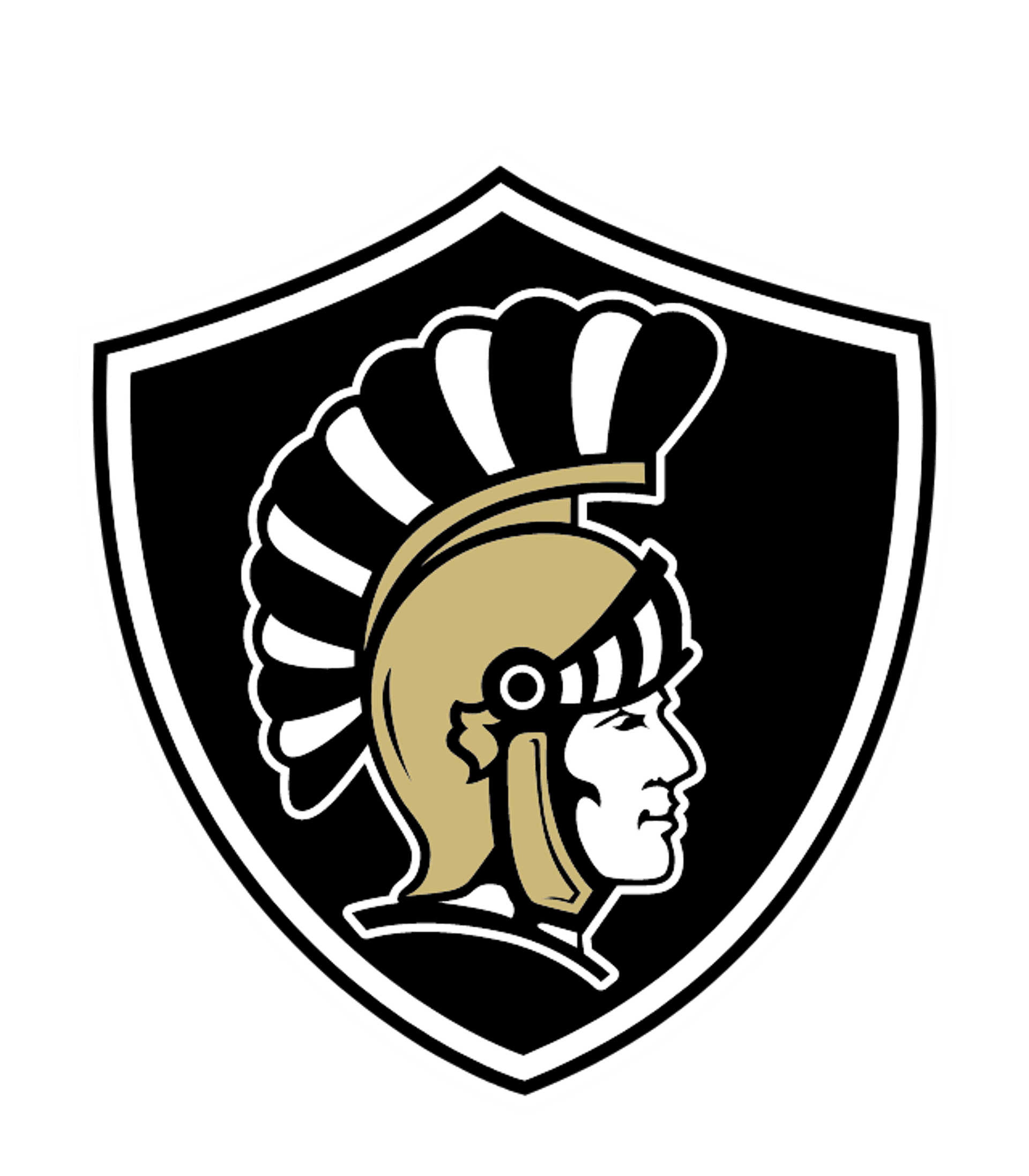 ITALY H S Logo