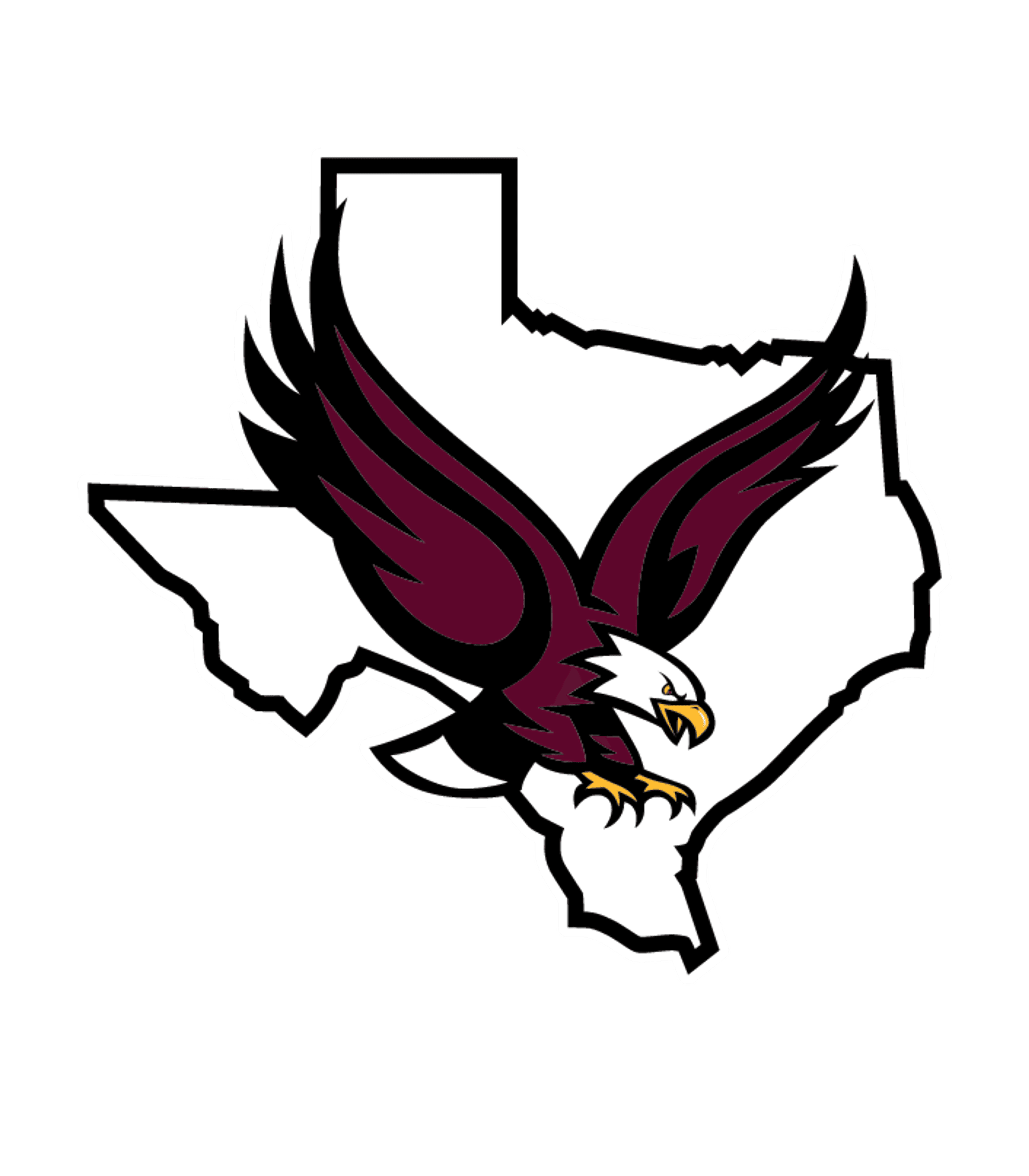 HILLSBORO H S Logo
